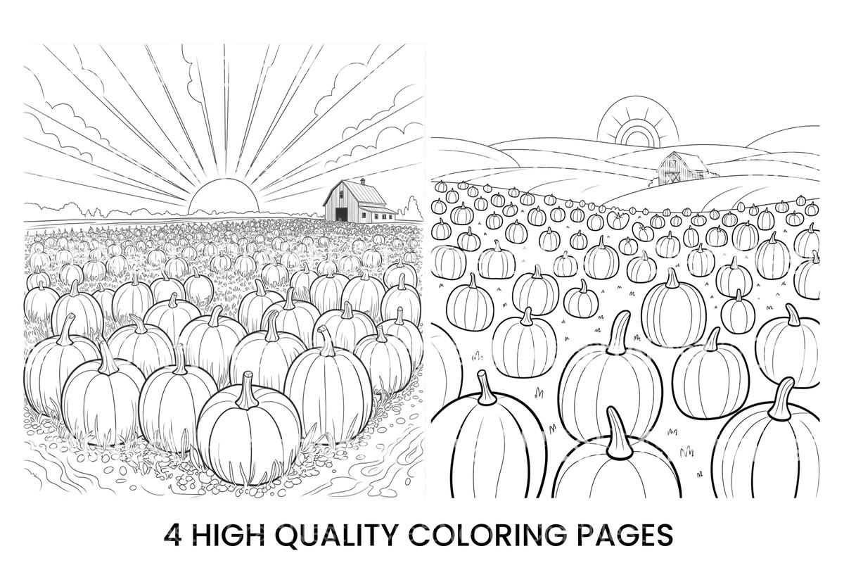 Sunrise Over Pumpkin Field Coloring Books