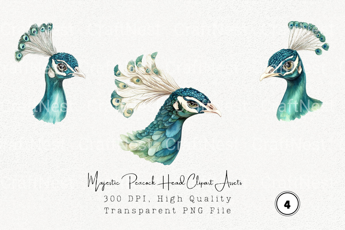 Majestic Peacock Head Clipart Bundle