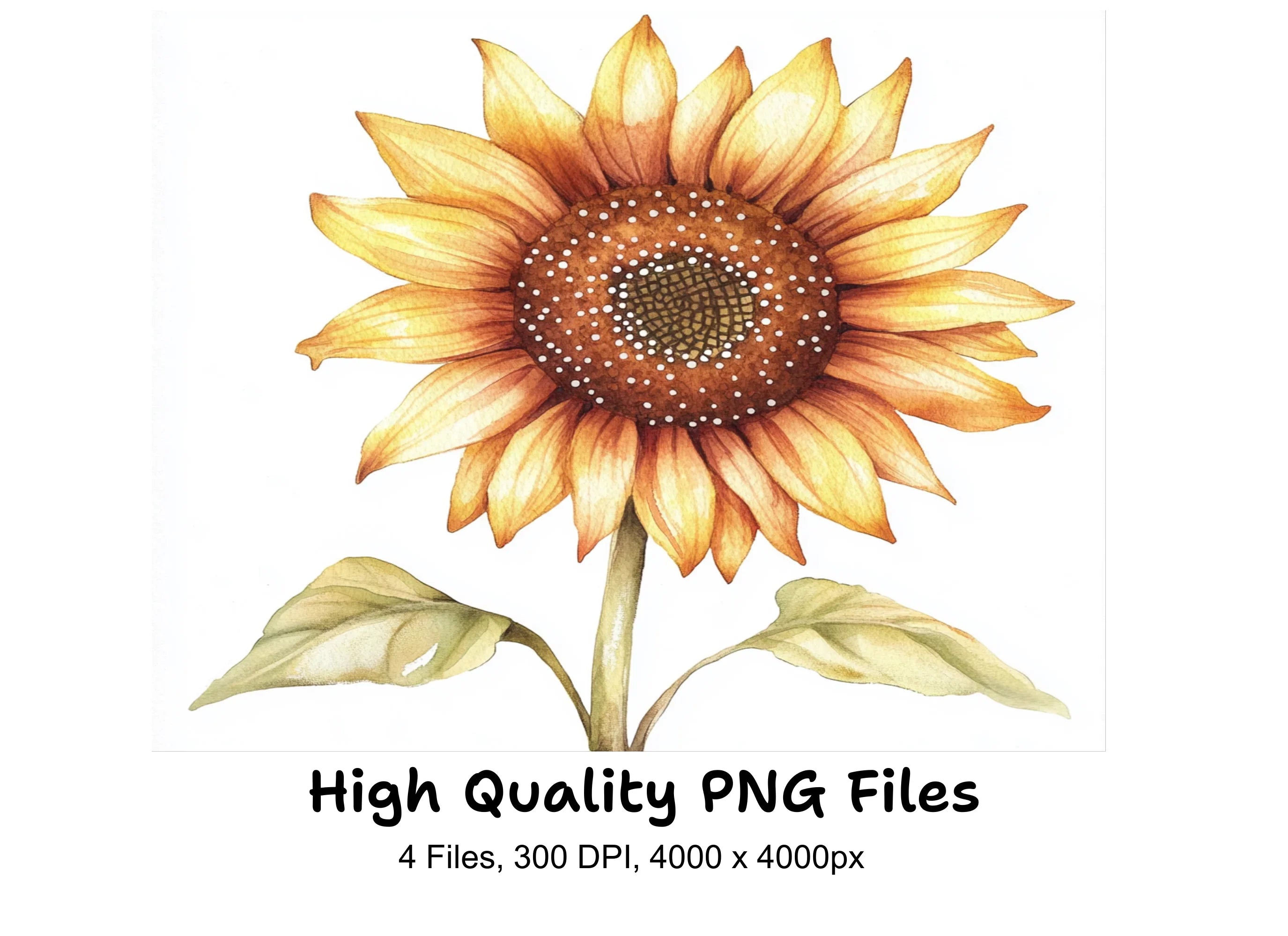 Sunflower Clipart Bundle