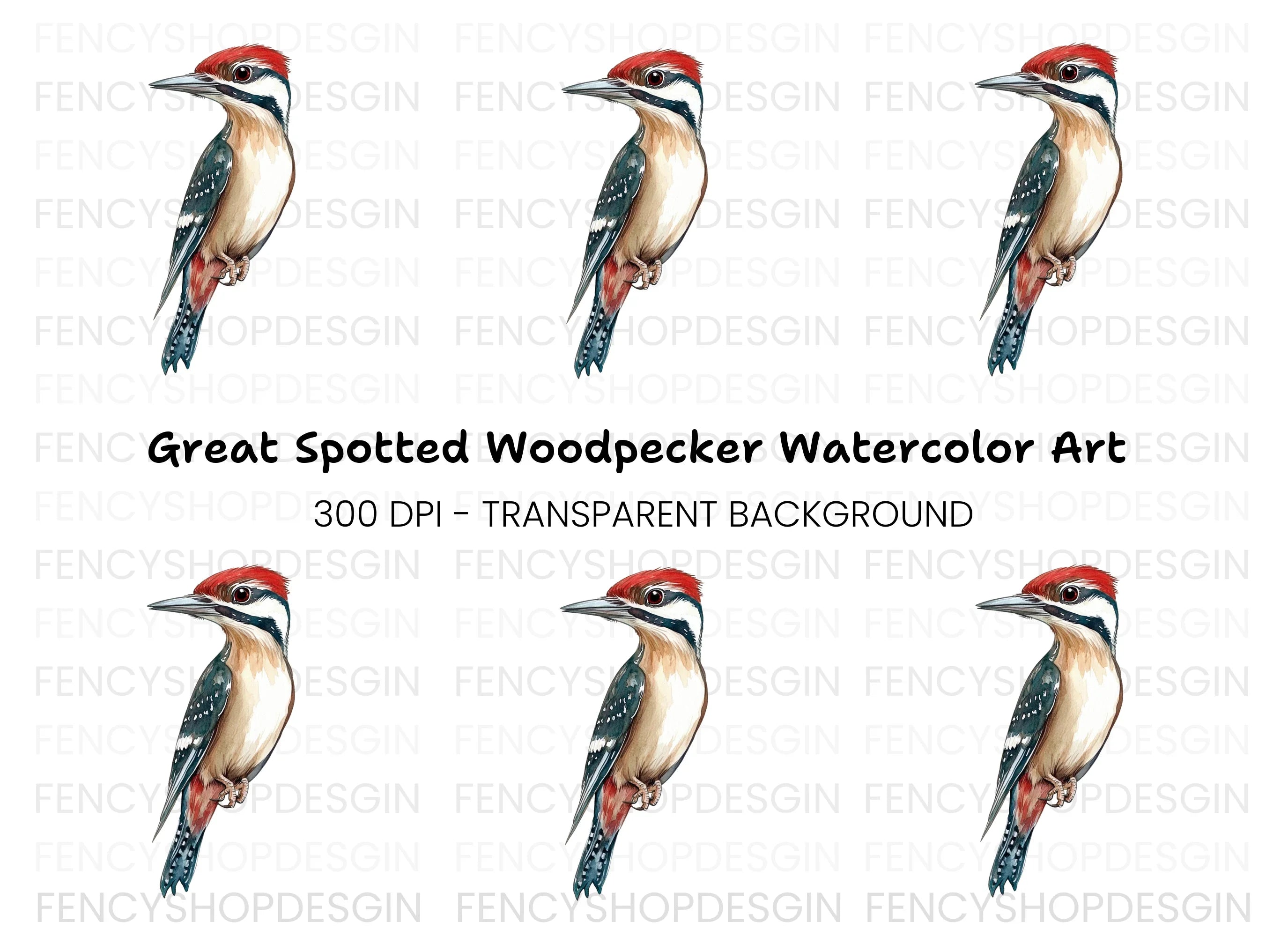 Vibrant Woodpecker Clipart Bundle