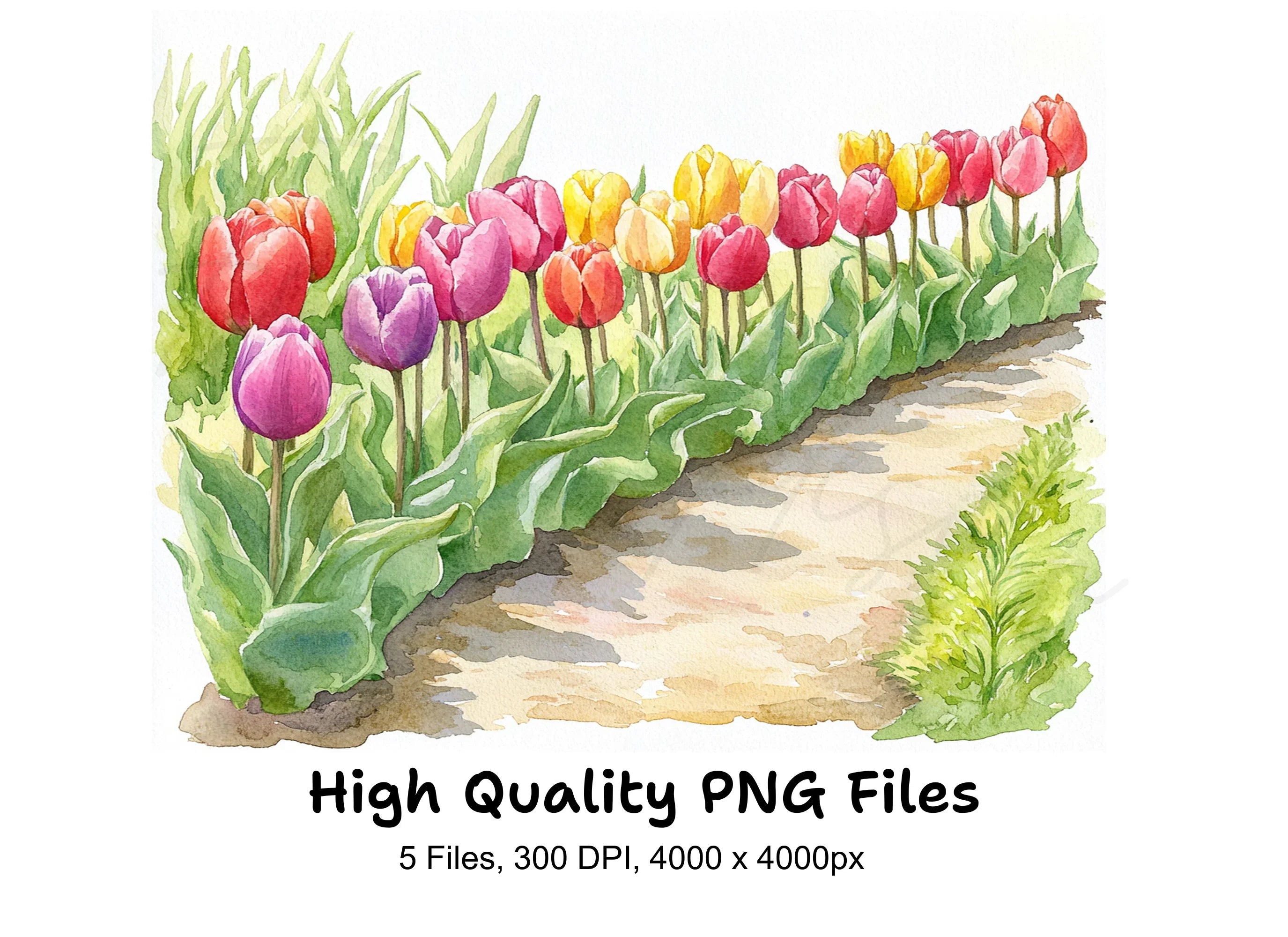 Tulip Garden Path Clipart Bundle