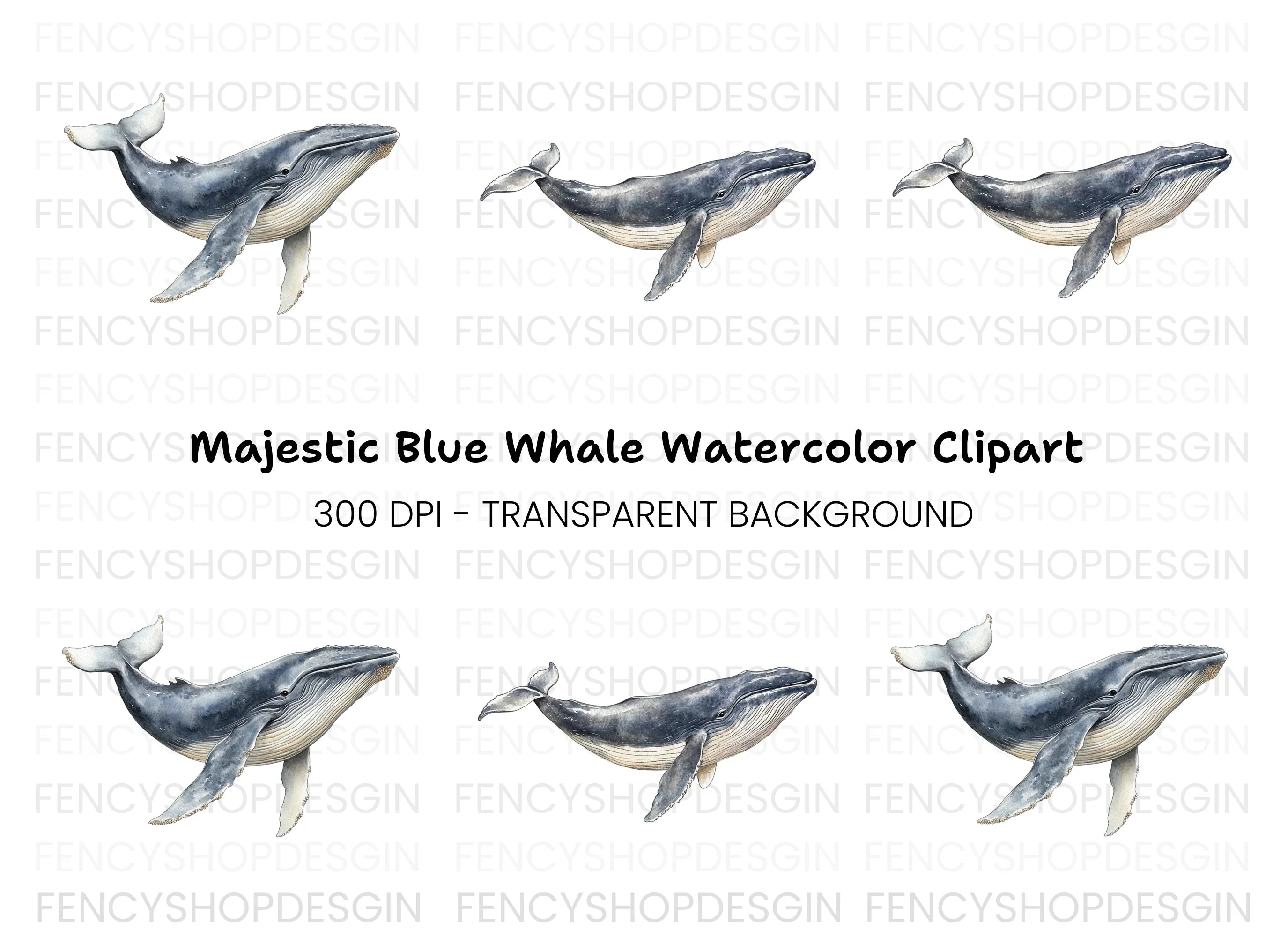 Majestic Whale Duo Clipart Bundle