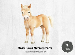 Baby Horse Nursery Pony Clipart Bundle - CraftNest - Digital Crafting and Art