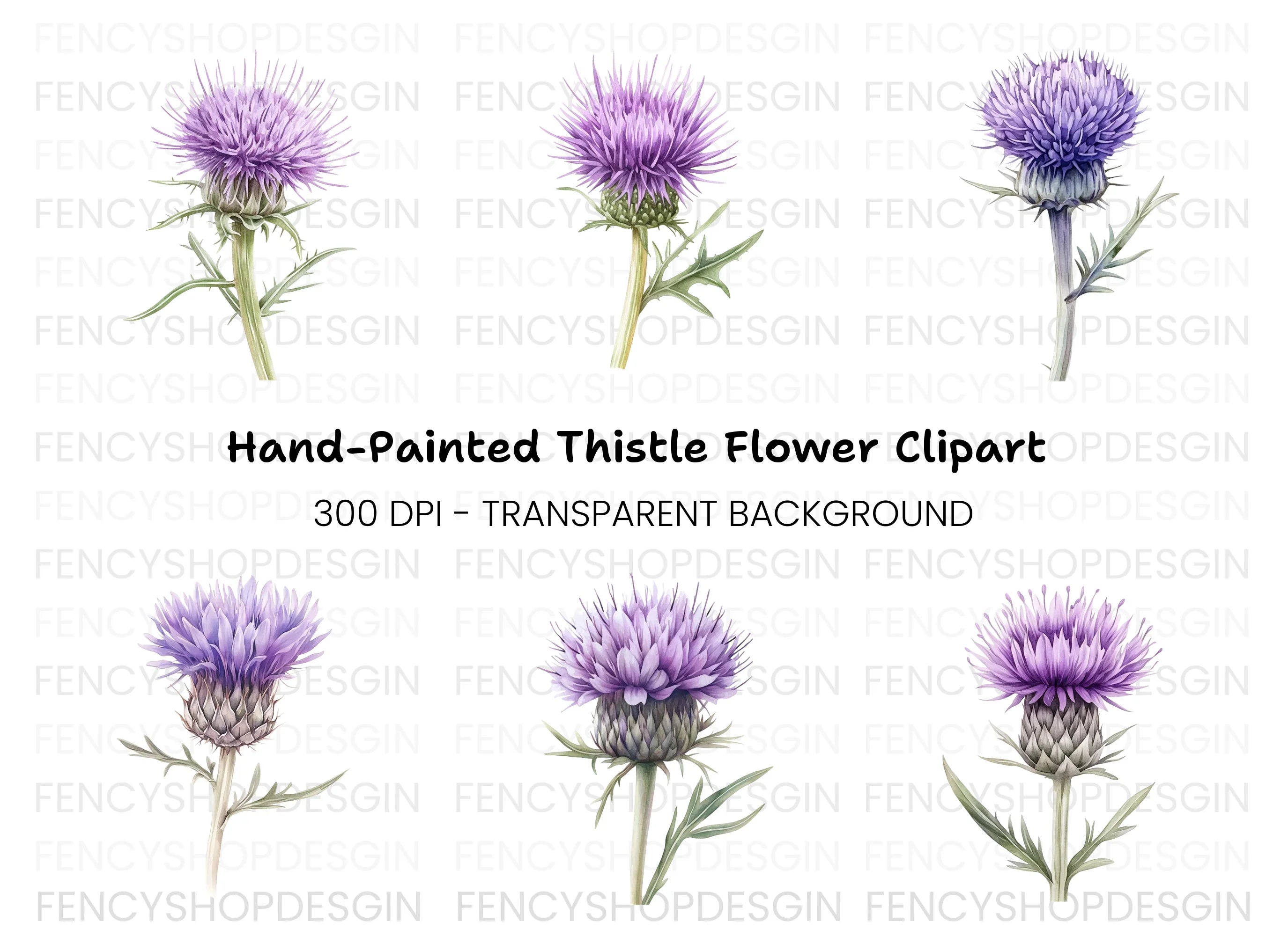 Scottish Thistle Flower Clipart Bundle