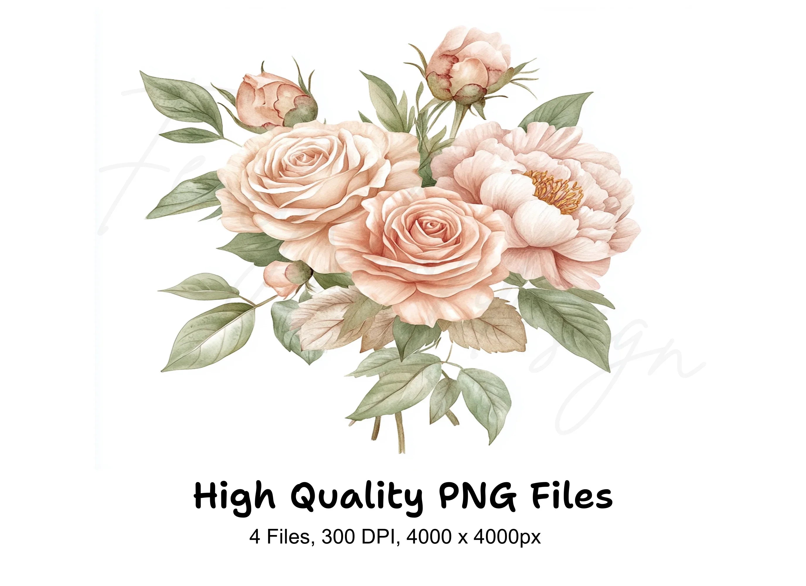 Elegant Blush Rose Peony Bouquets Clipart Bundle