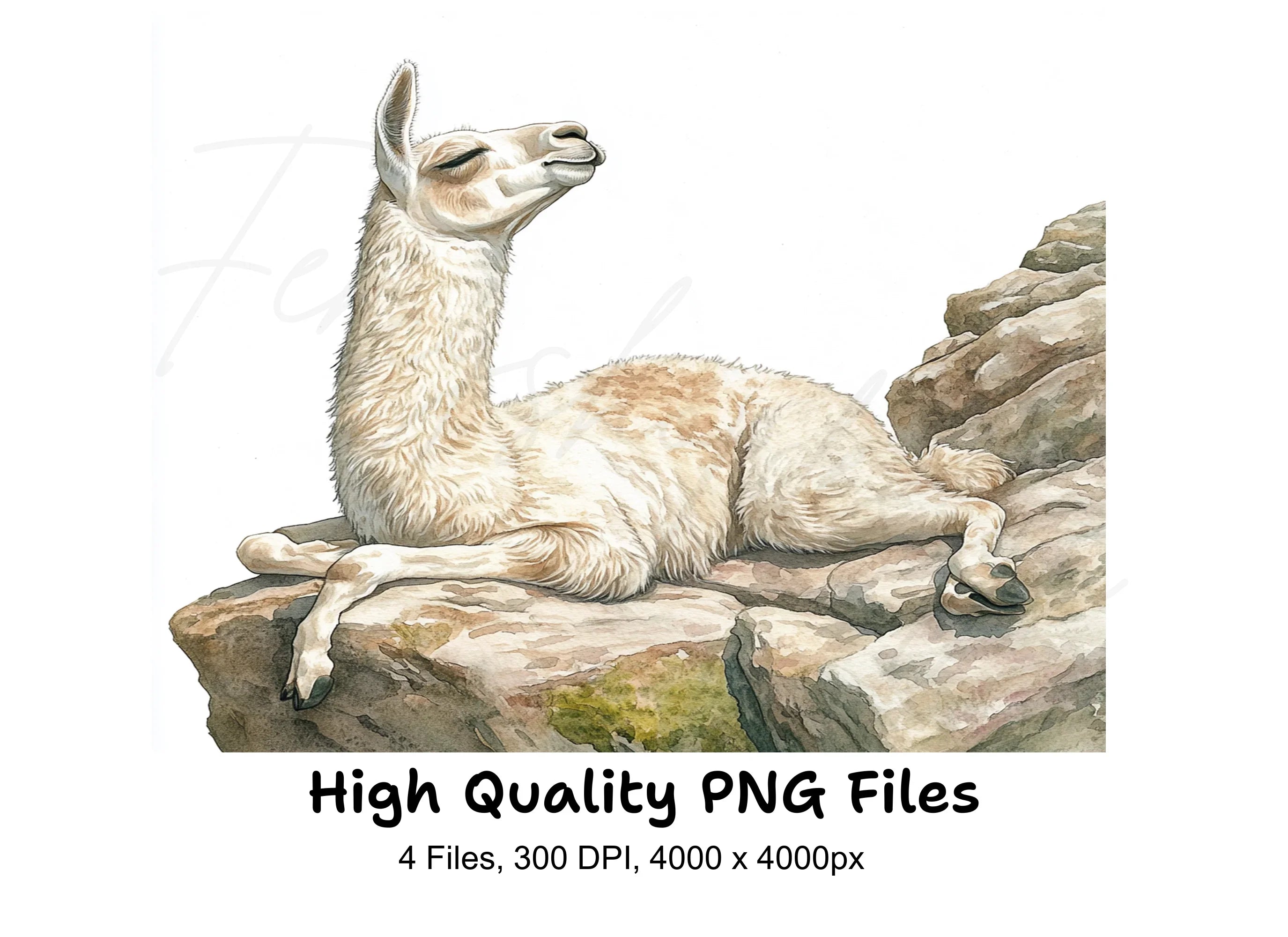 Llama on Rocks Clipart Bundle