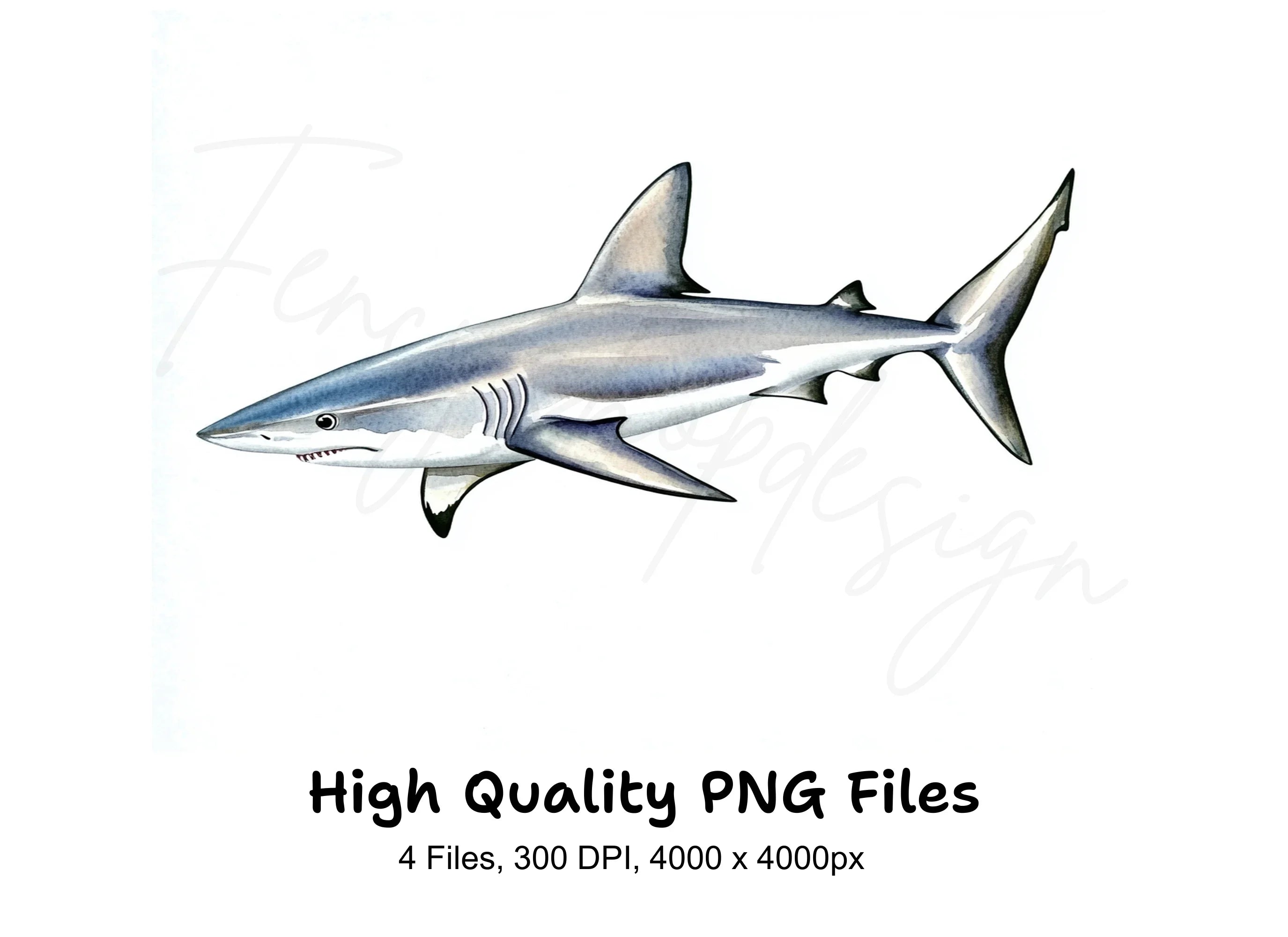 Great White Shark Clipart Bundle