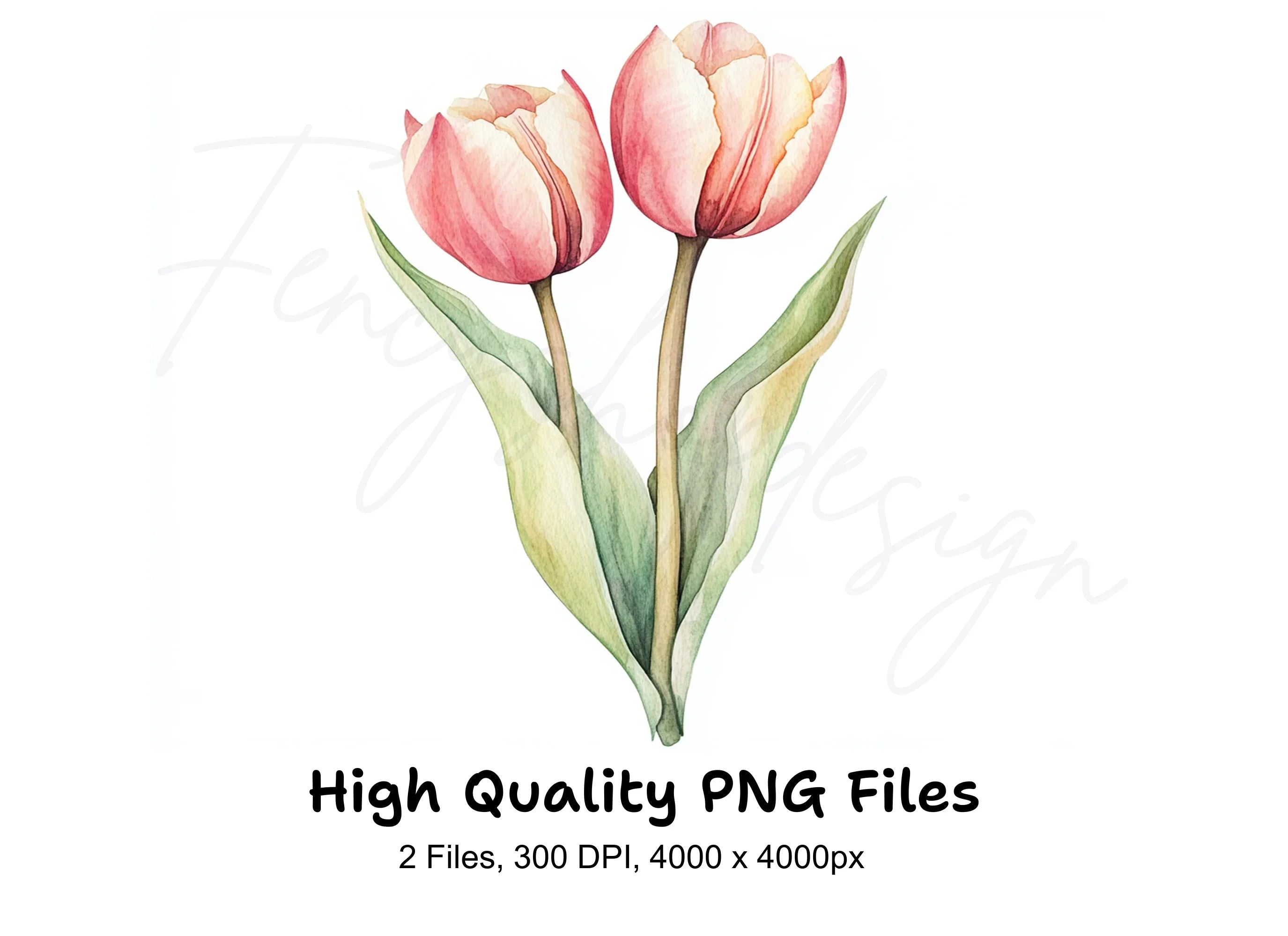 Pink Tulip Flower Clipart Bundle