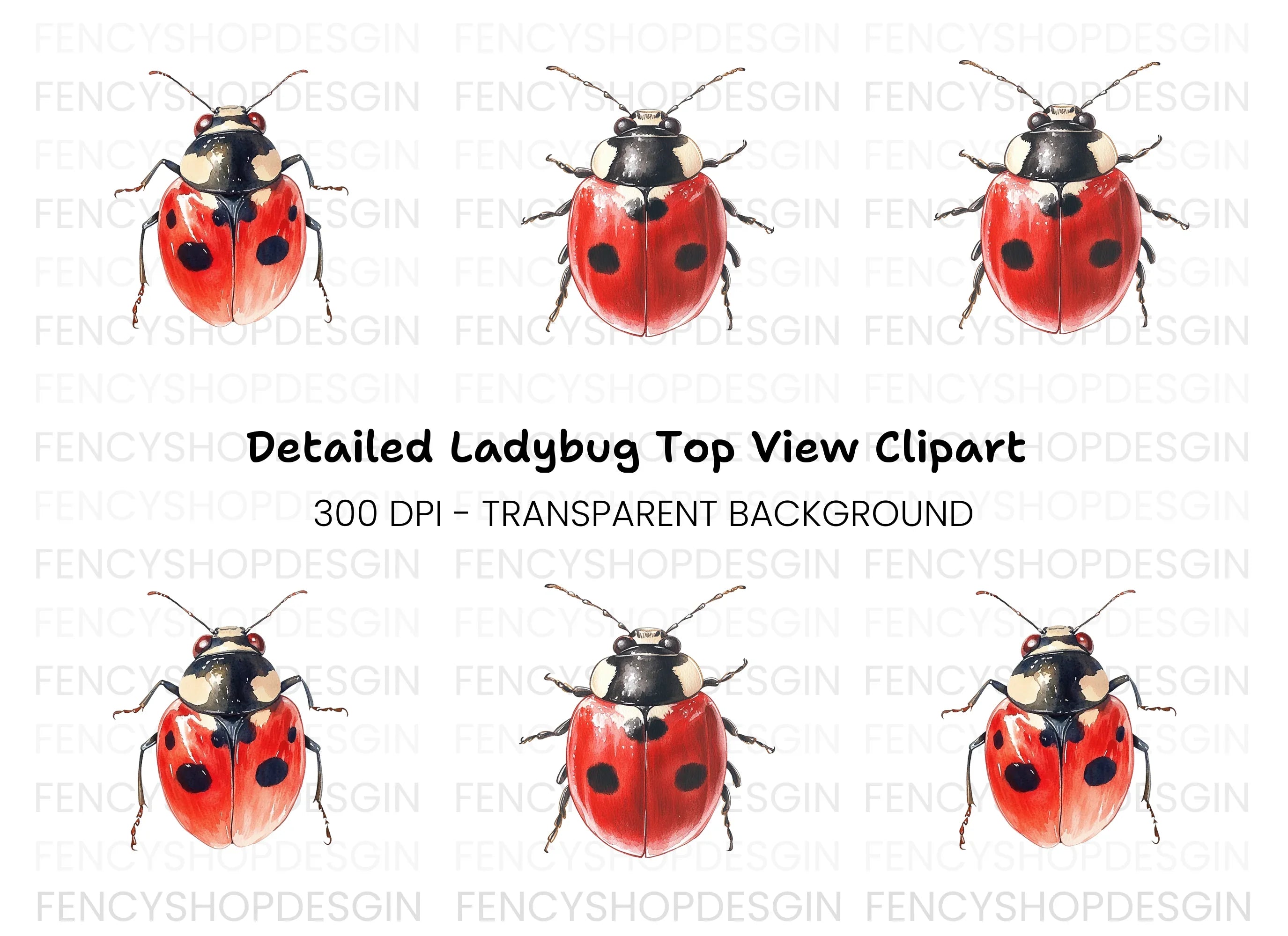 Cute Ladybug Clipart Bundle