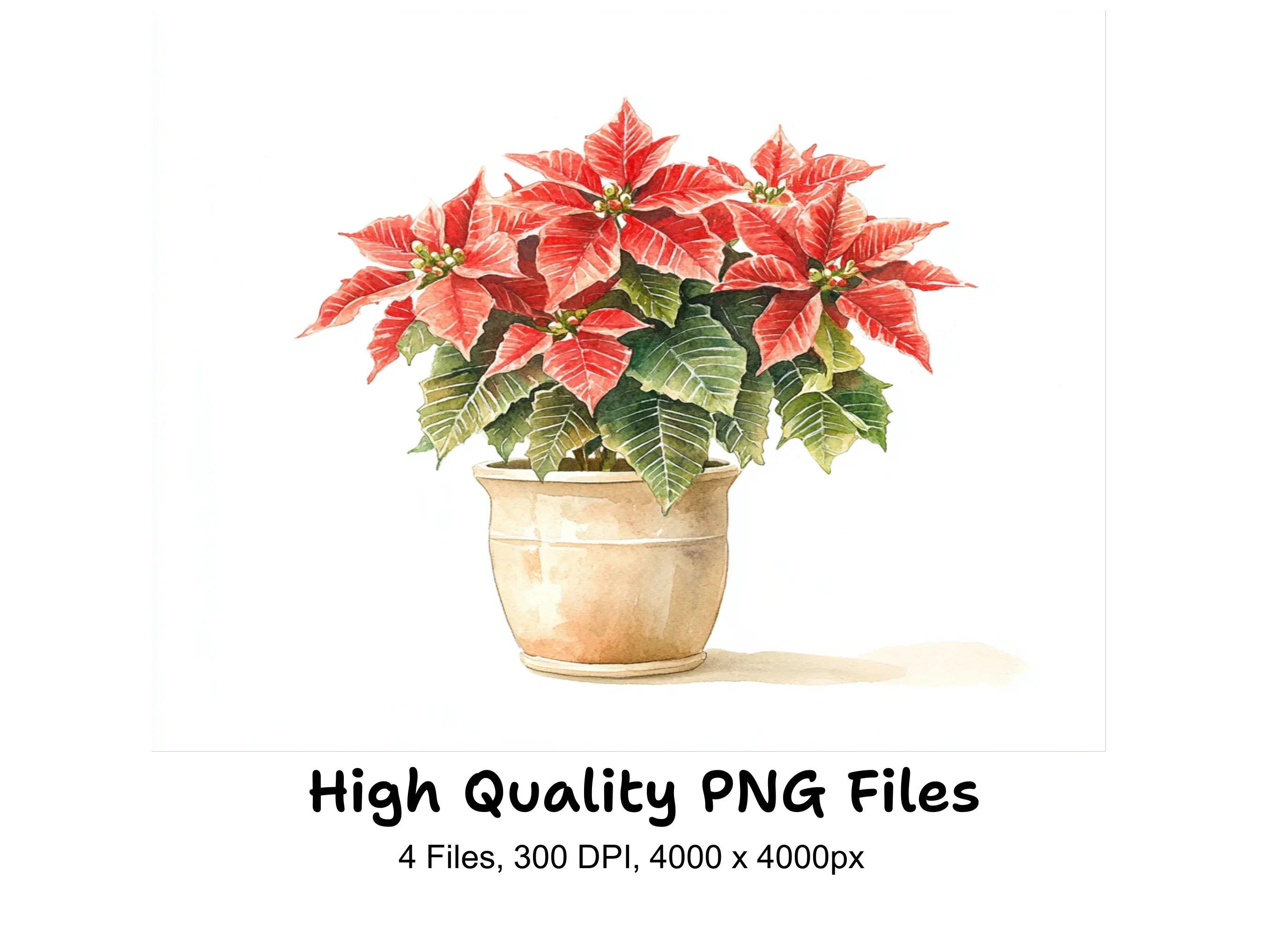Potted Poinsettia Clipart Bundle