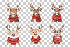 Christmas Reindeer with Scarf Clipart Bundle - CraftNest - Digital Crafting and Art