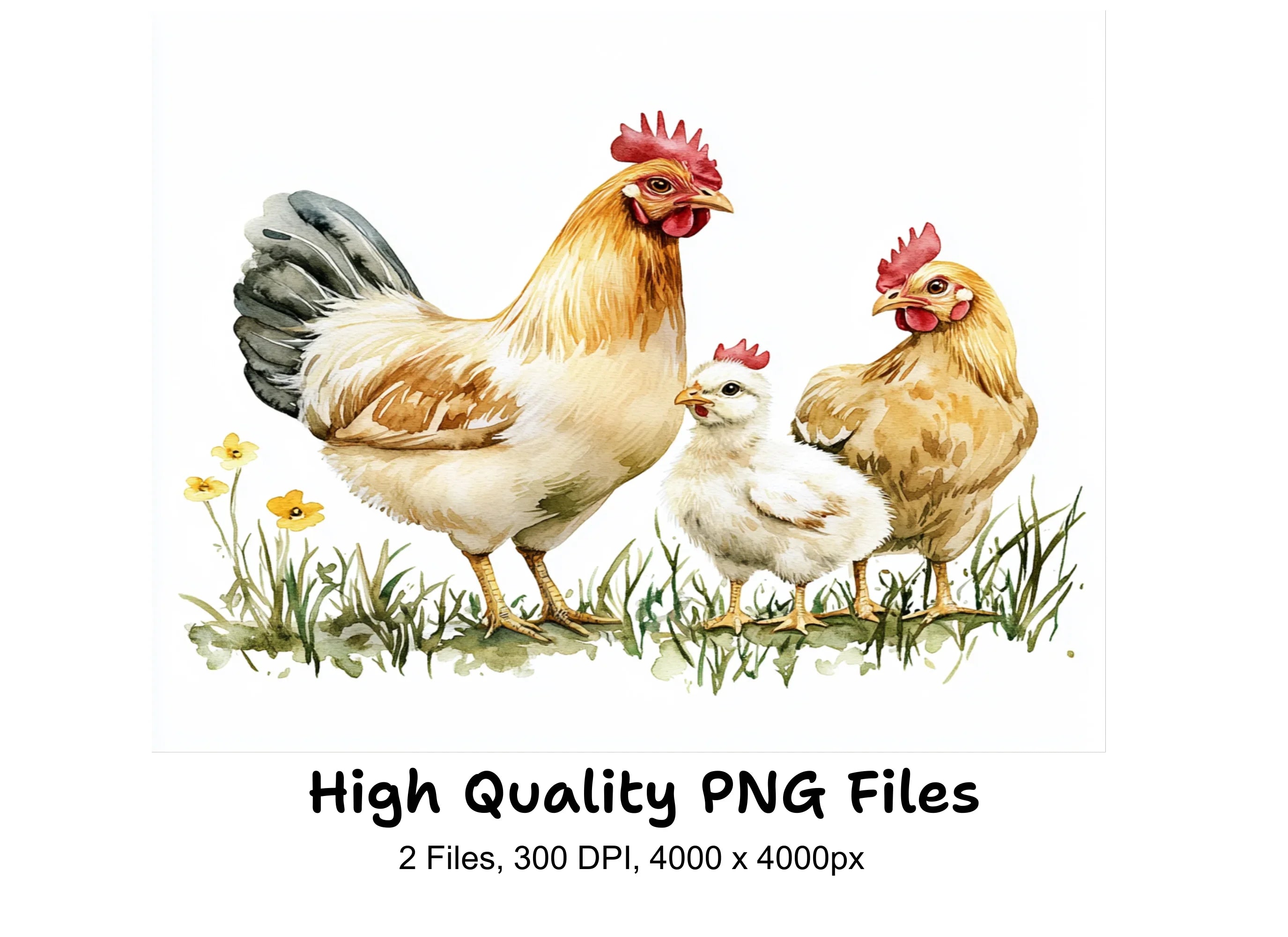 Rooster and Hen Family Clipart Bundle