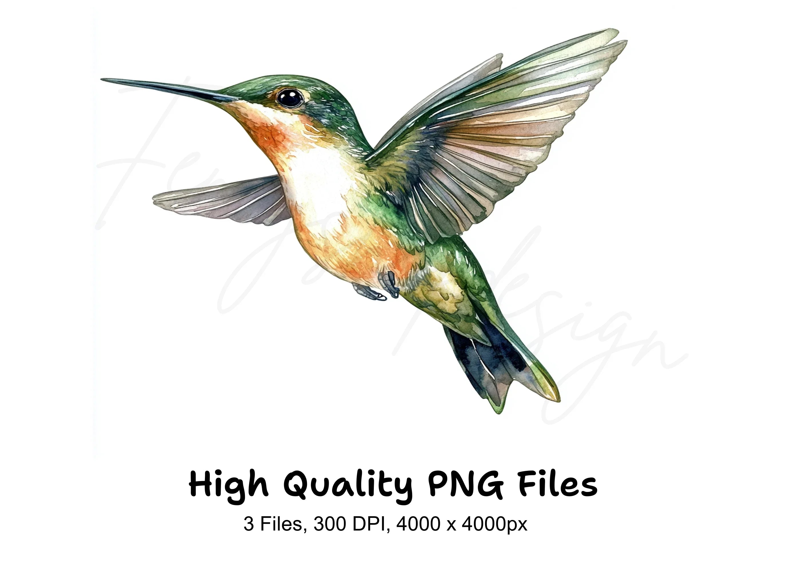 Ruby Throated Hummingbird Clipart Bundle