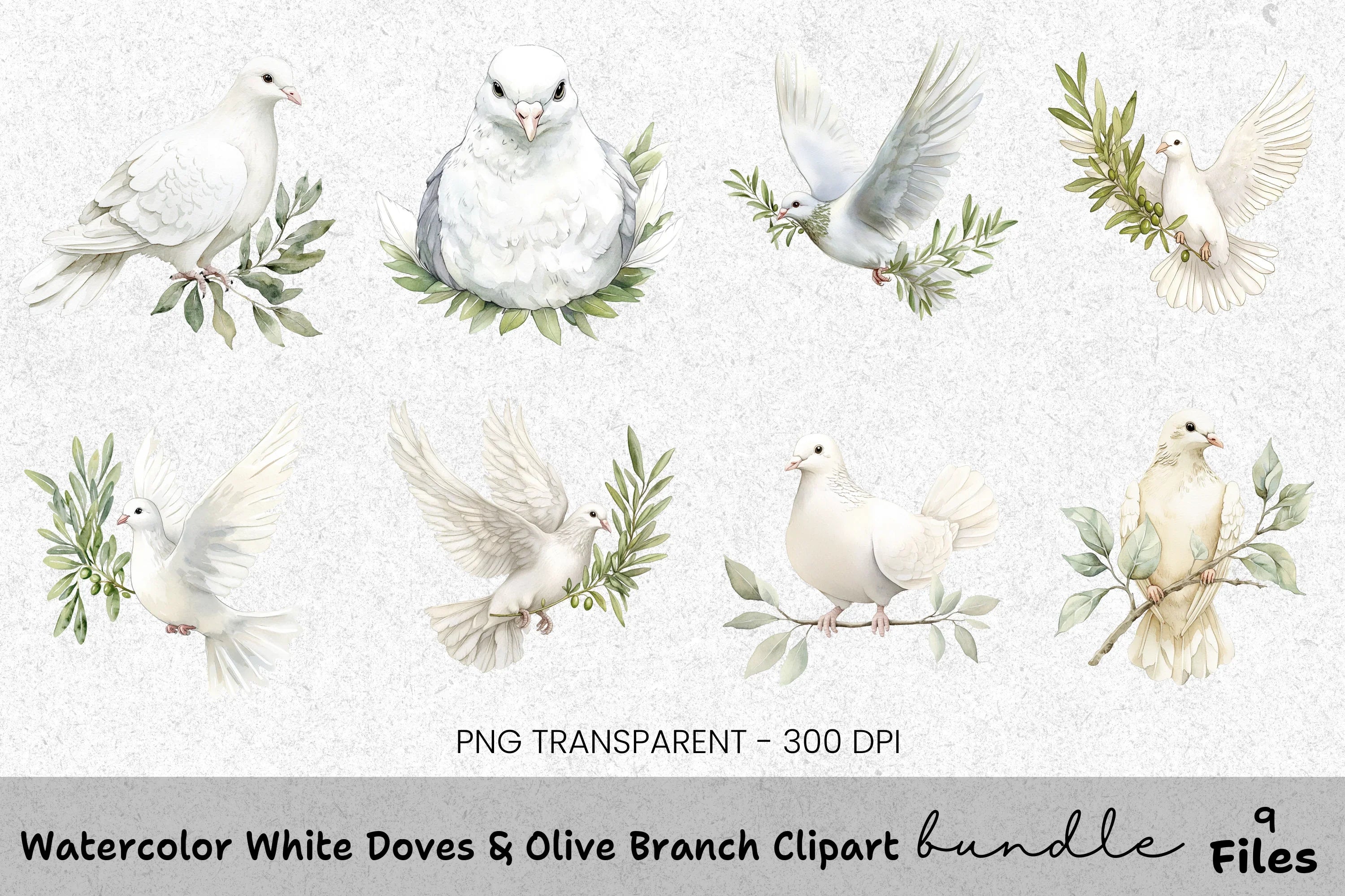 White Doves Olive Branch Clipart Bundle