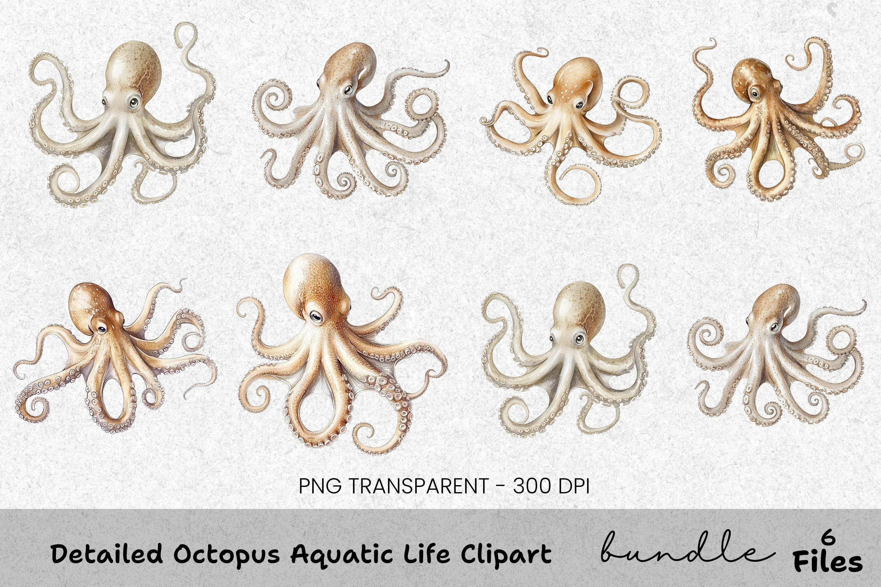 Detailed Octopus Aquatic Life Clipart Bundle