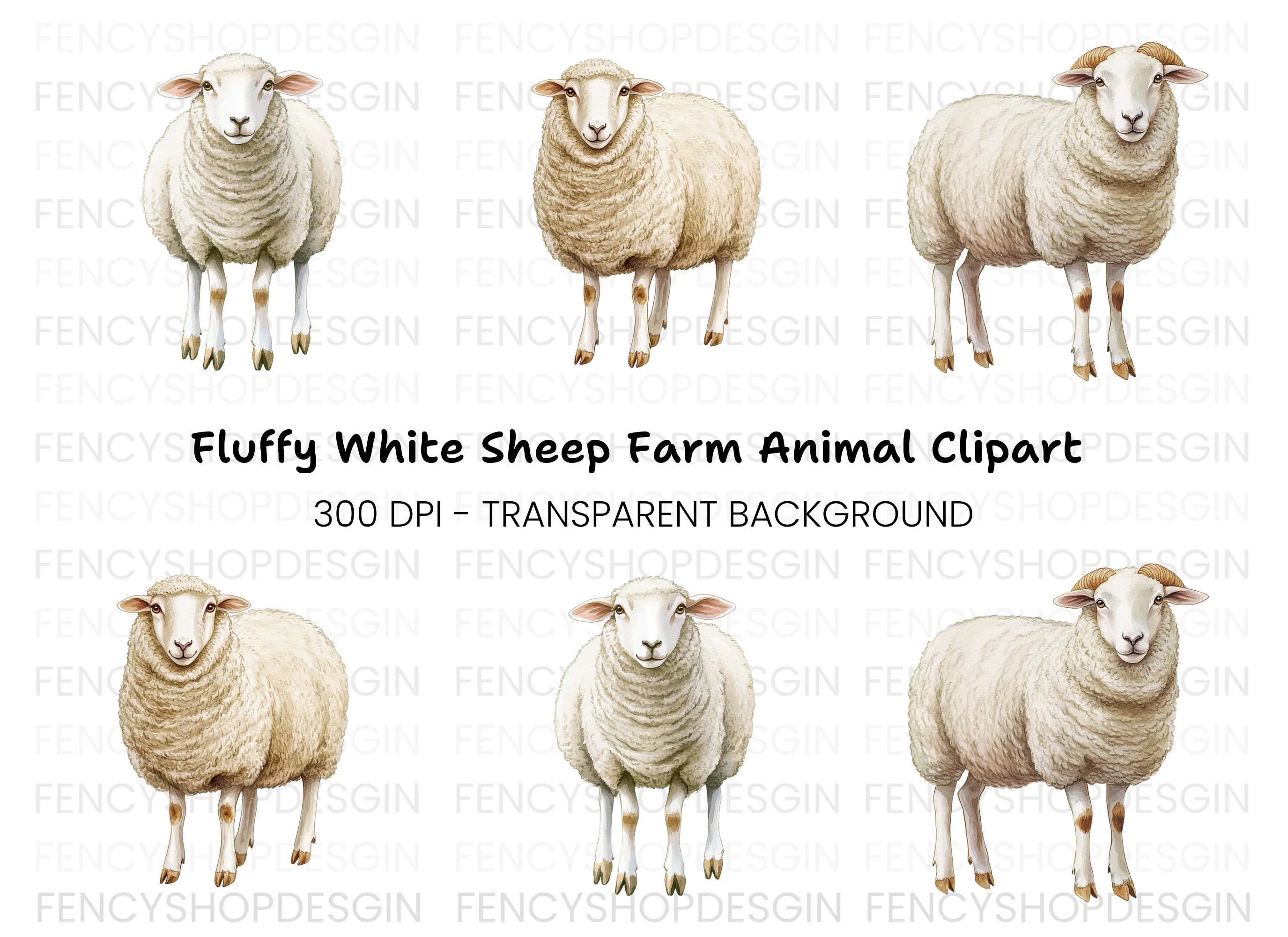 Fluffy Sheep Clipart Bundle