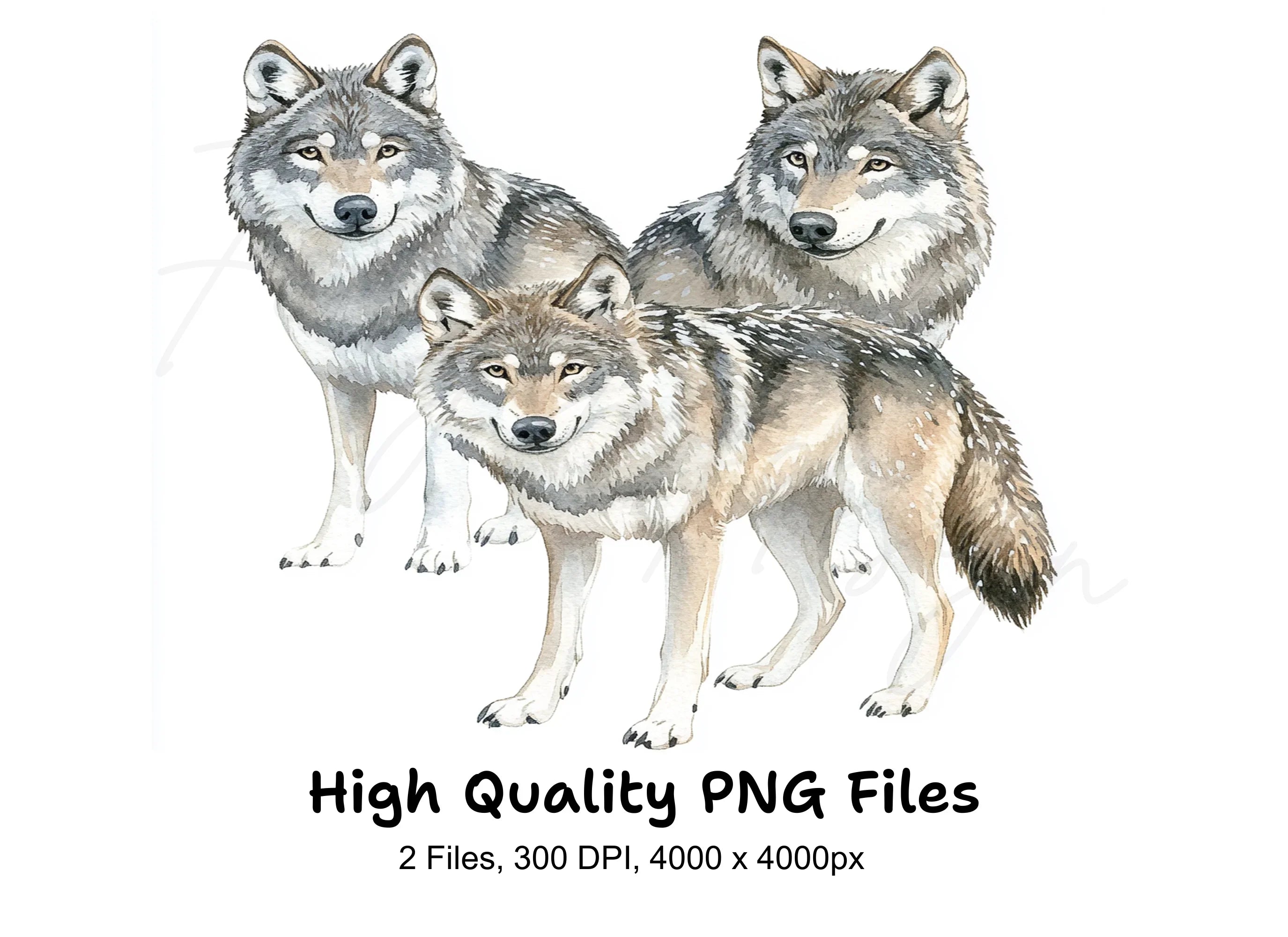 Brown Wolf Clipart Bundle