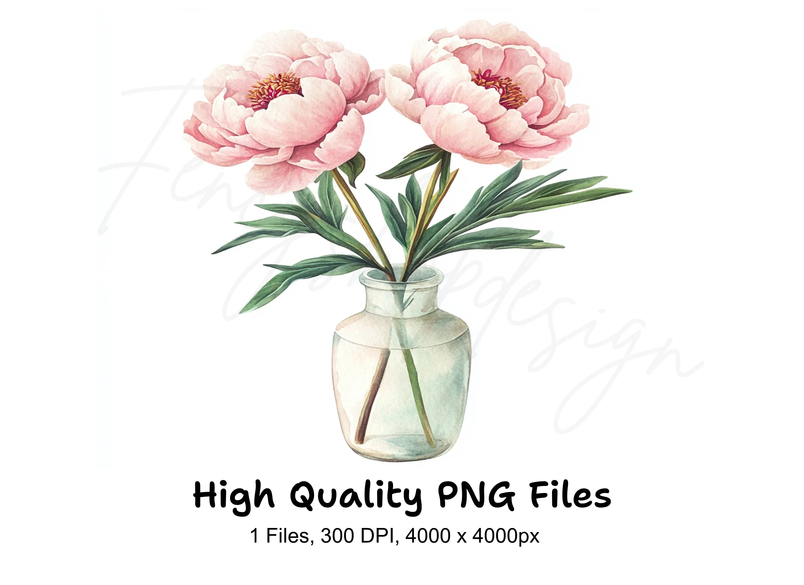 Elegant Peonies in Glass Vase Clipart Bundle