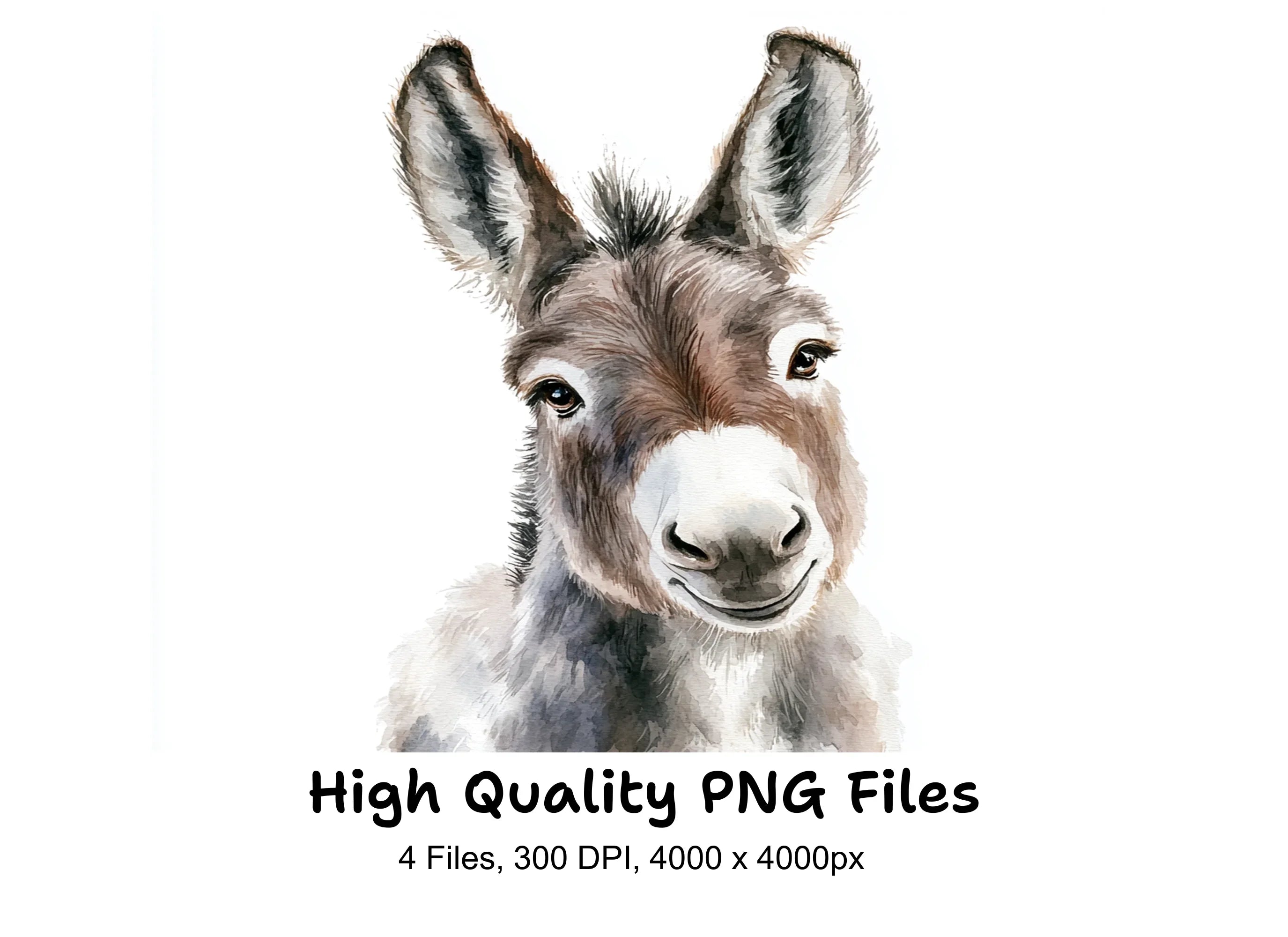 Cute Donkey Face Clipart Bundle