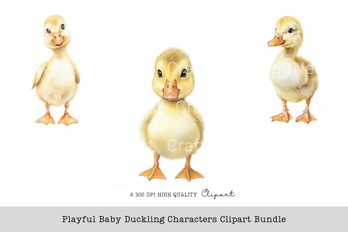 Playful Baby Duckling Characters Clipart Bundle