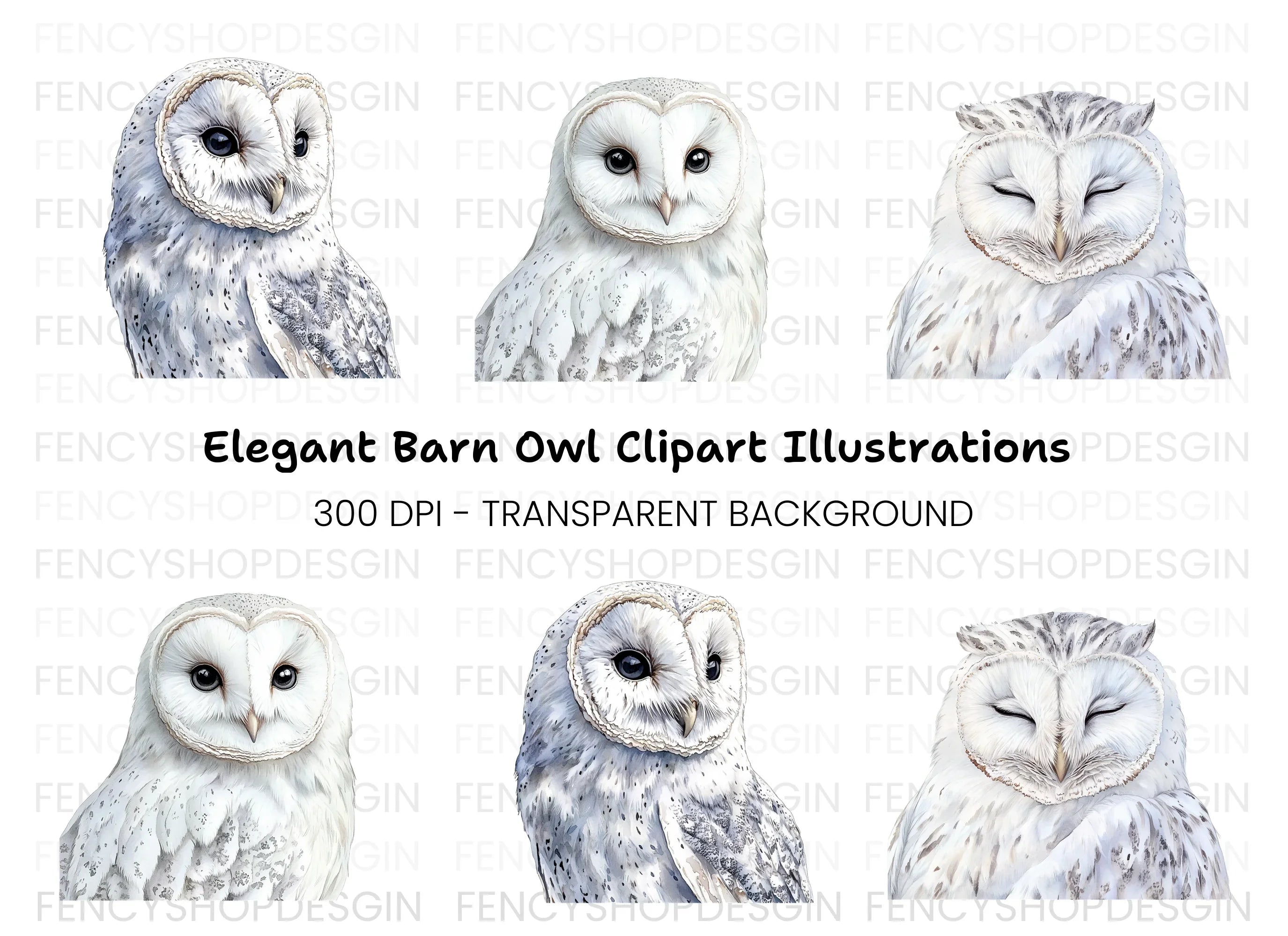 Barn Owl White Owls Clipart Bundle
