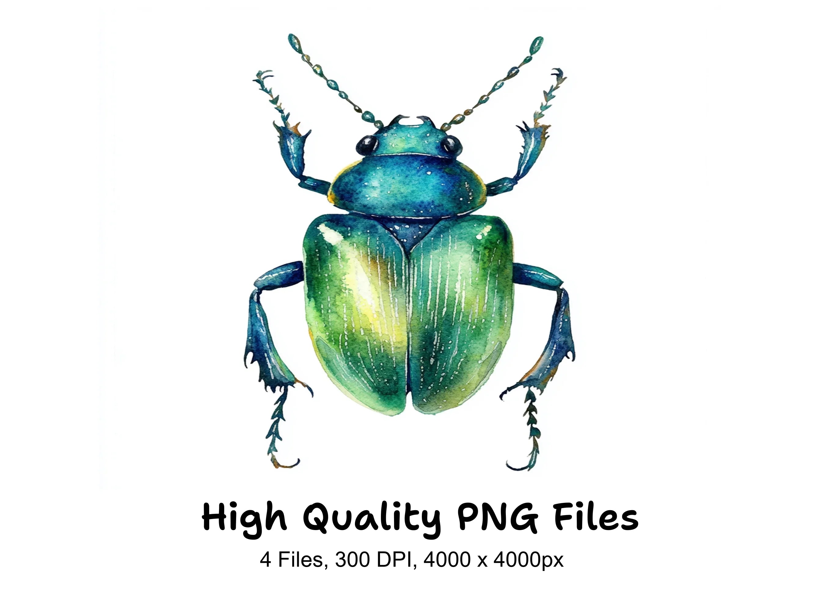 Shiny Green Beetle Clipart Bundle