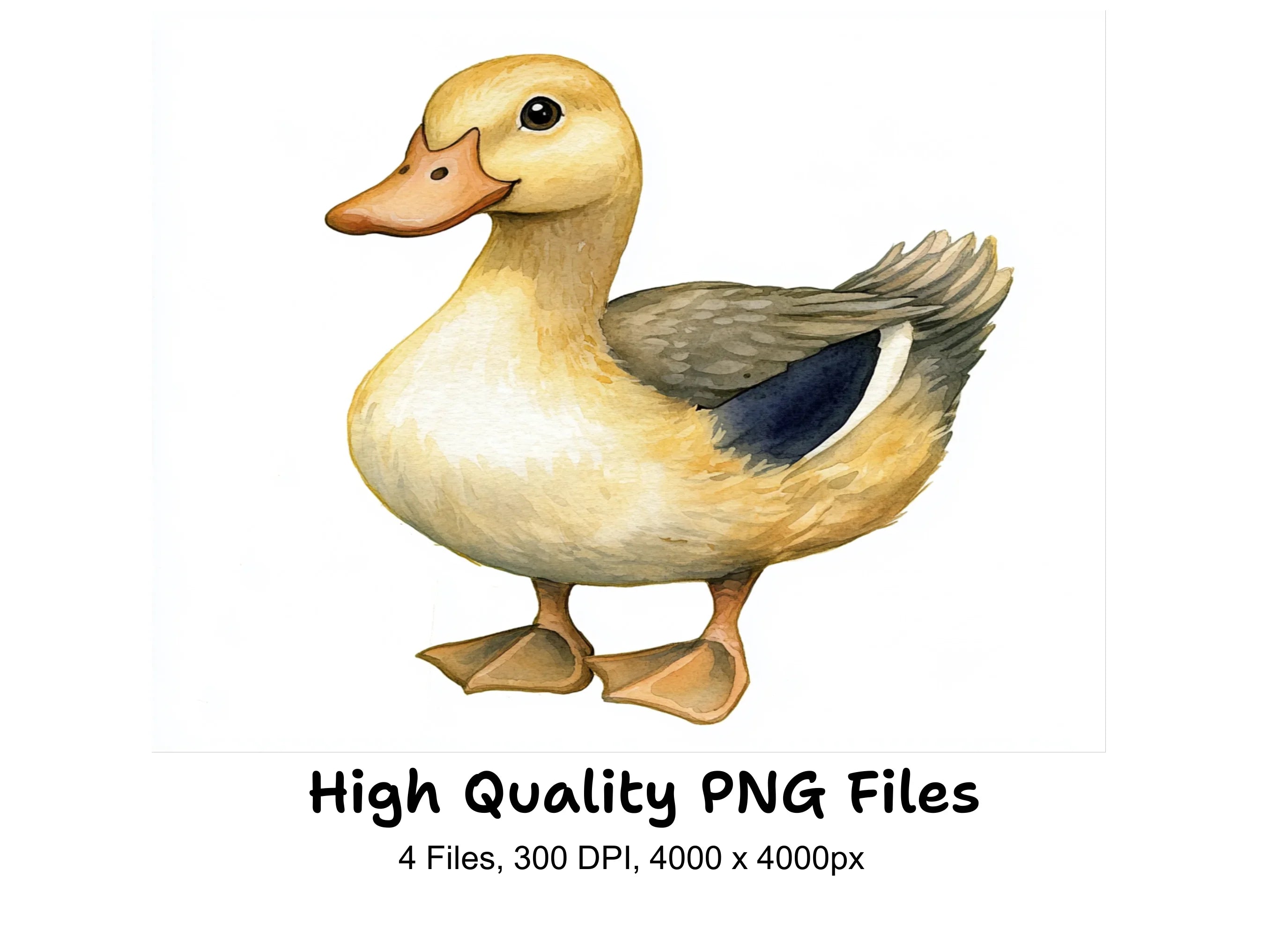 Cute Baby Ducklings Clipart Bundle