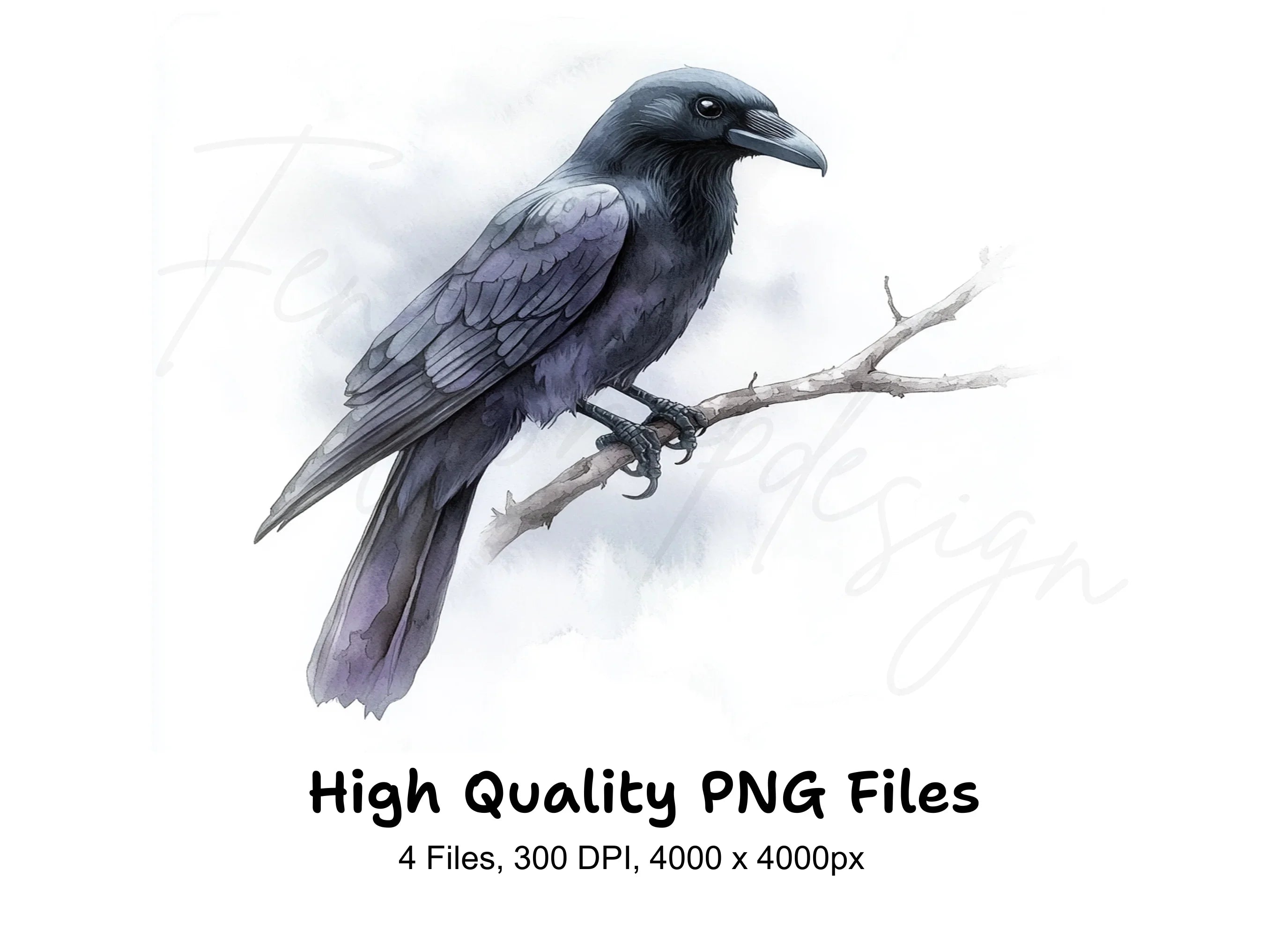 Black Crow Bird Clipart Bundle