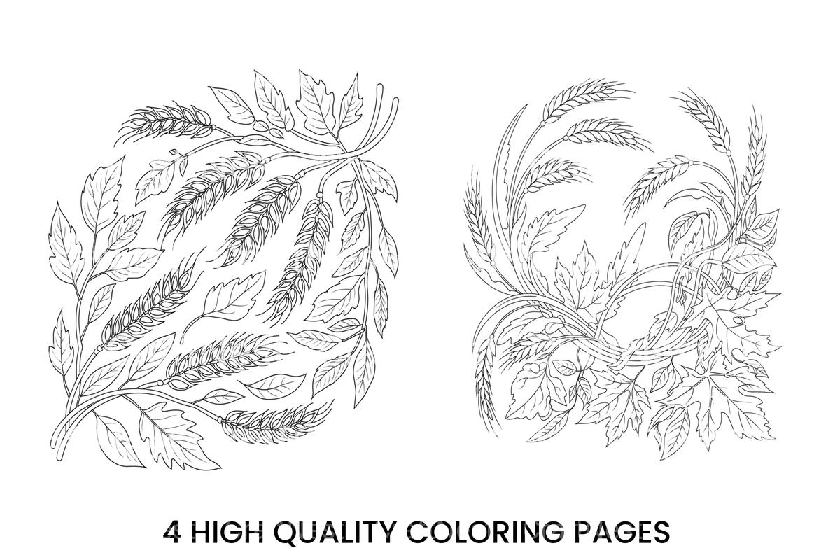 Autumn Harvest Wheat and Leaves Coloring Books