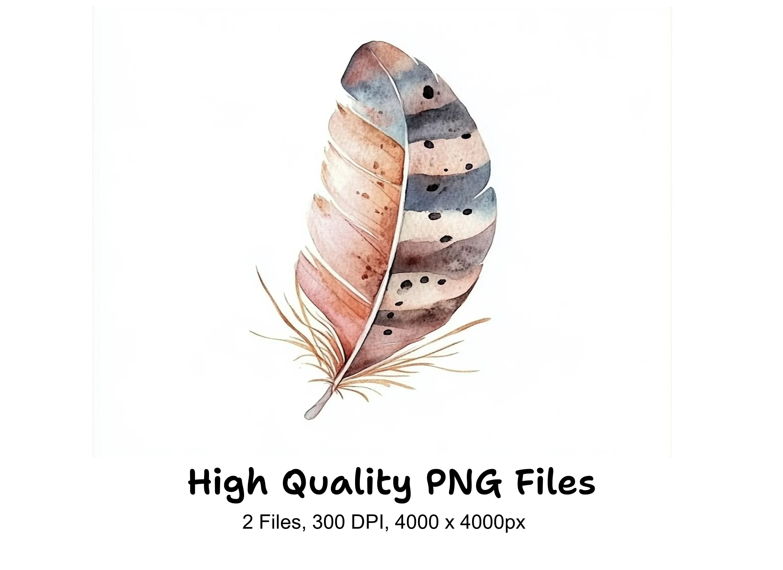 Boho Feather Clipart Bundle