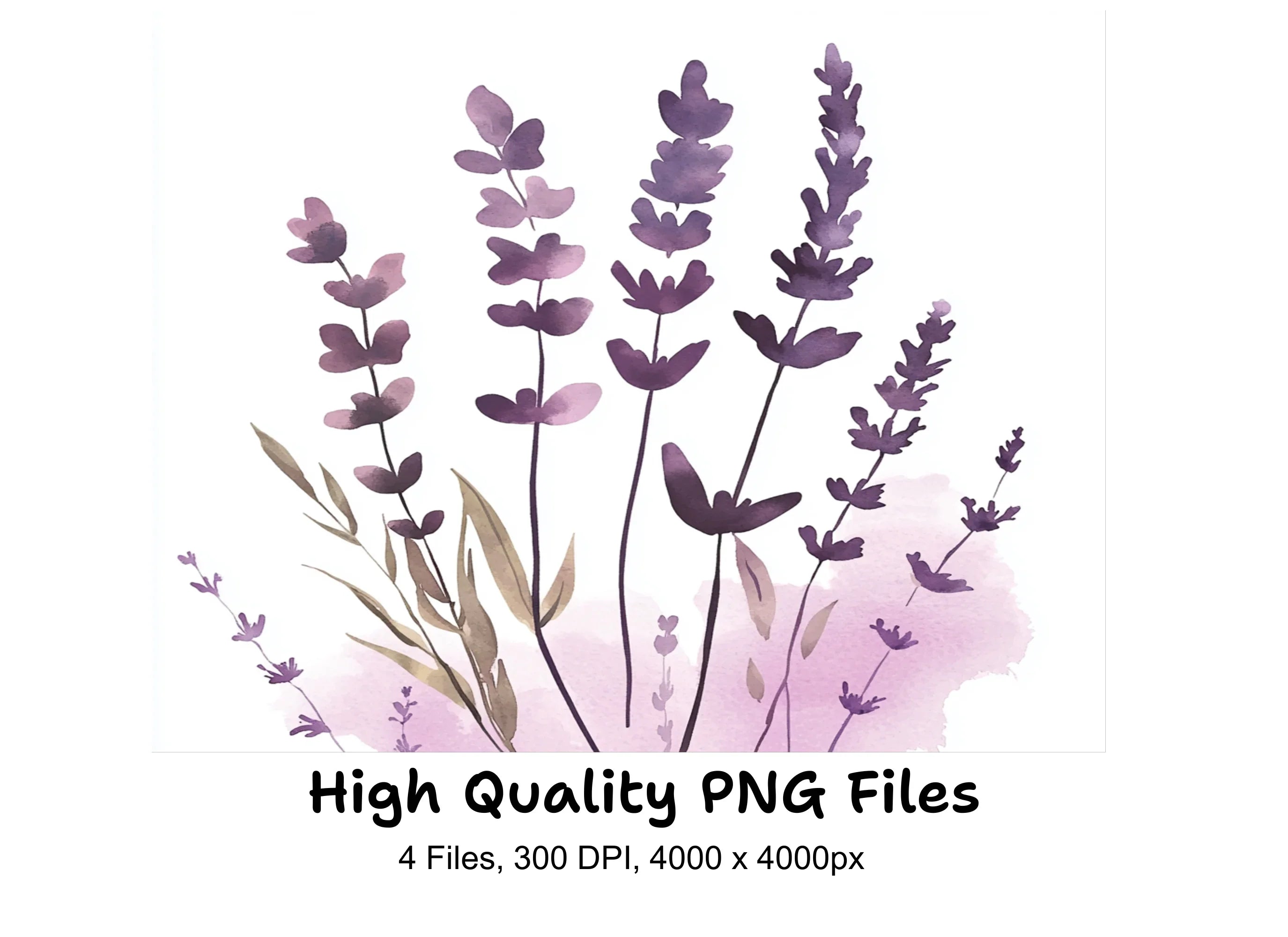 Lavender Clipart Bundle