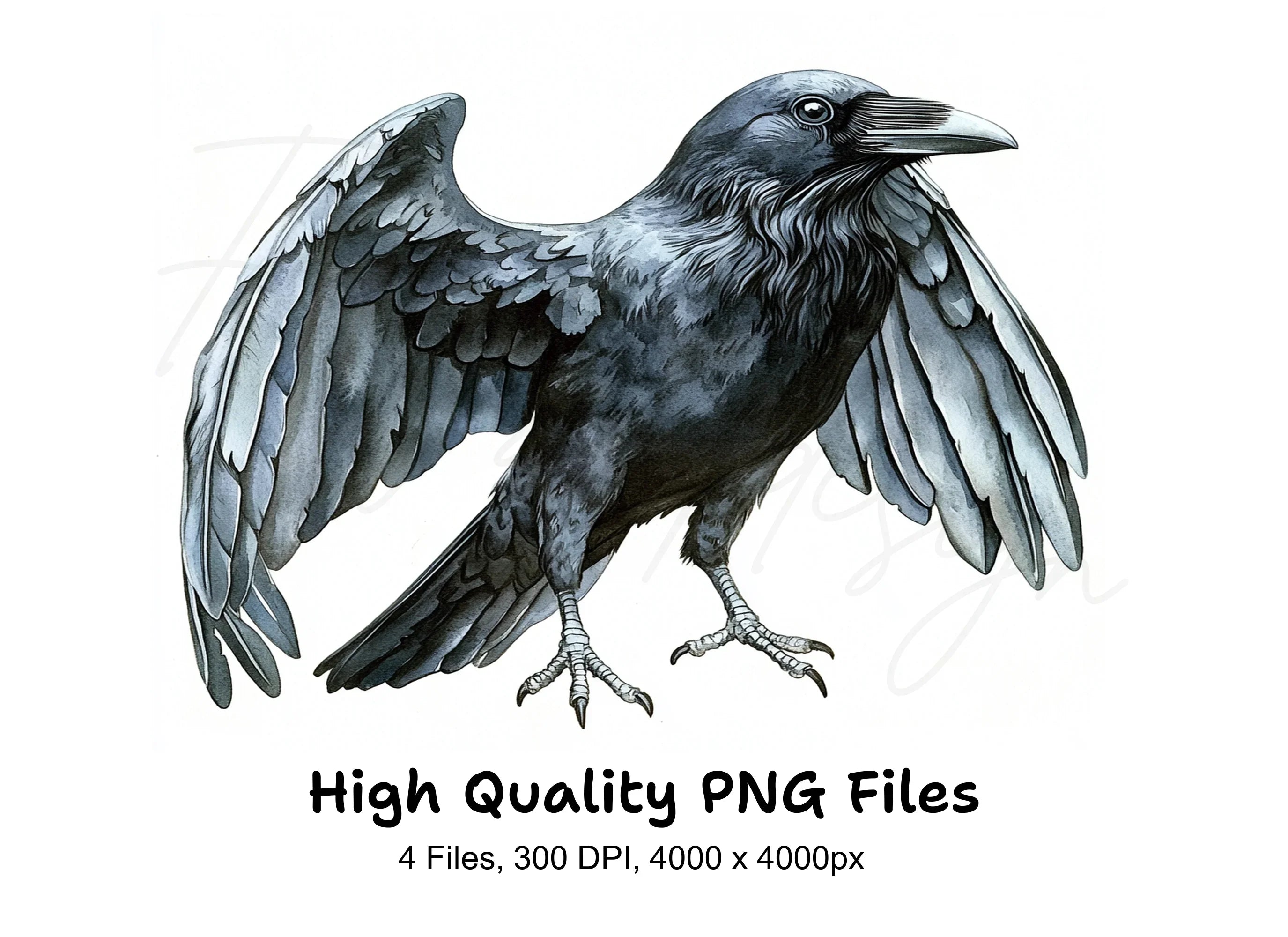 Crows with Open Wings Clipart Bundle