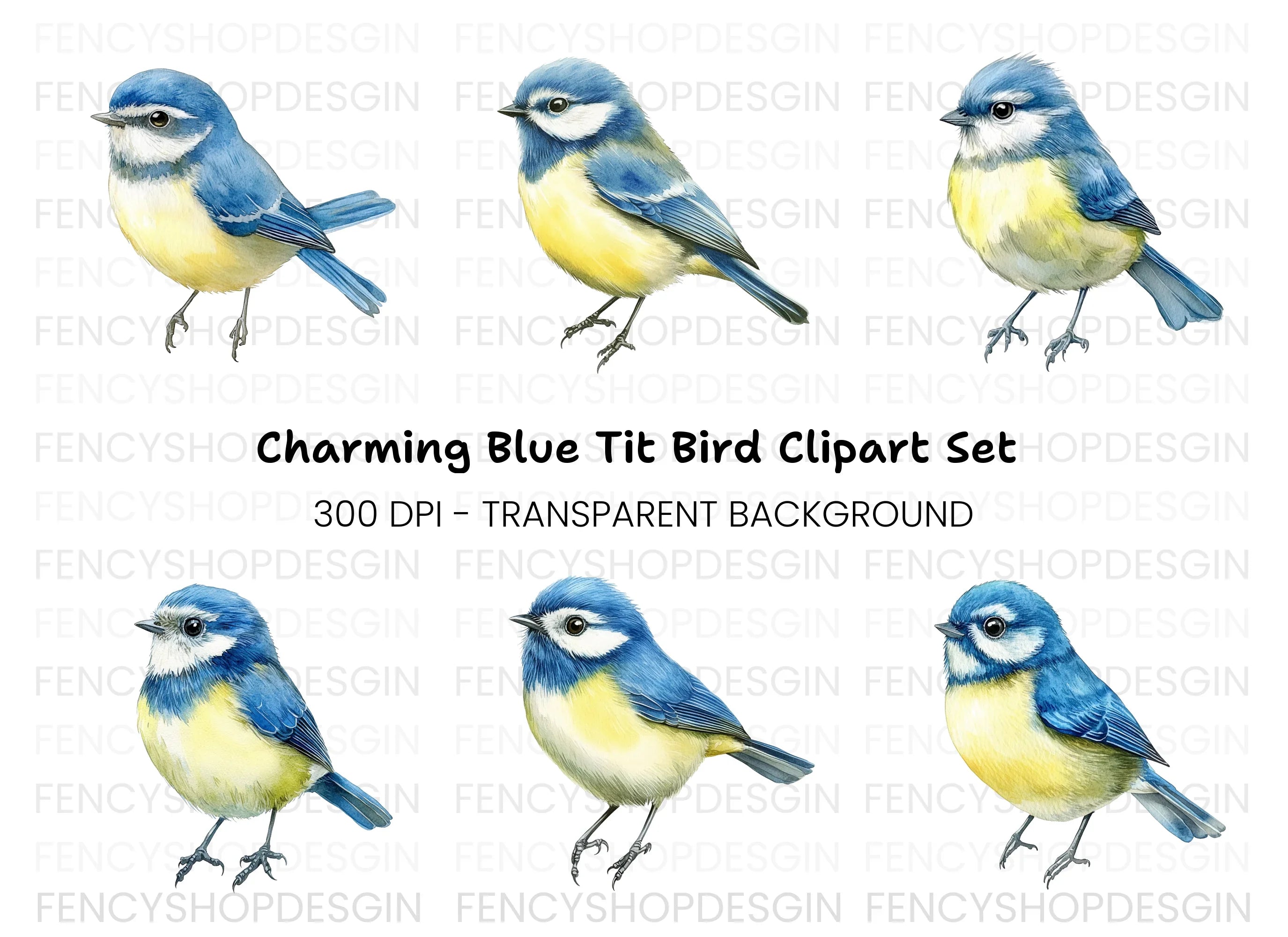 Blue Tit Bird Clipart Bundle