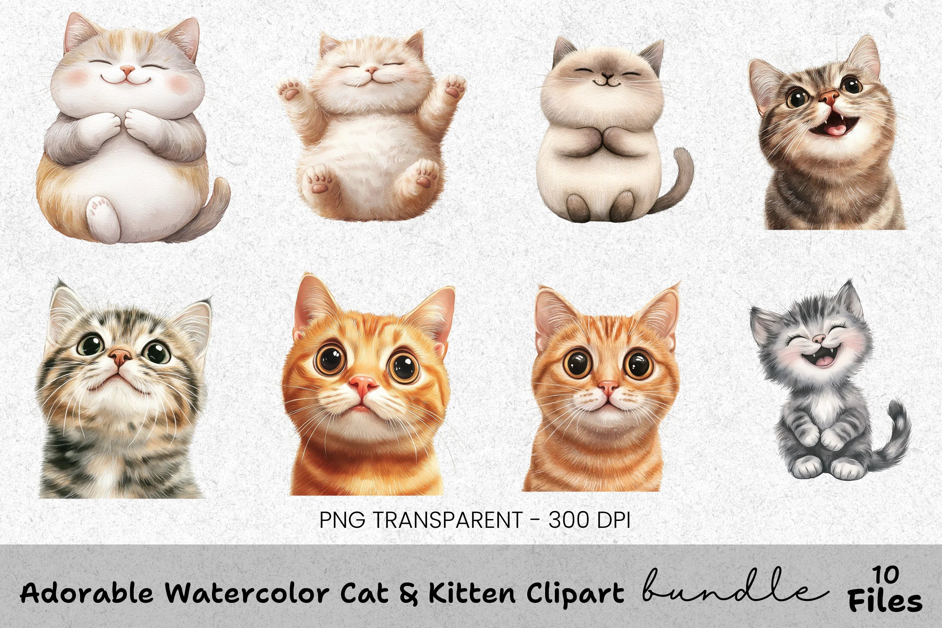 Adorable Cat Kitten Clipart Bundle