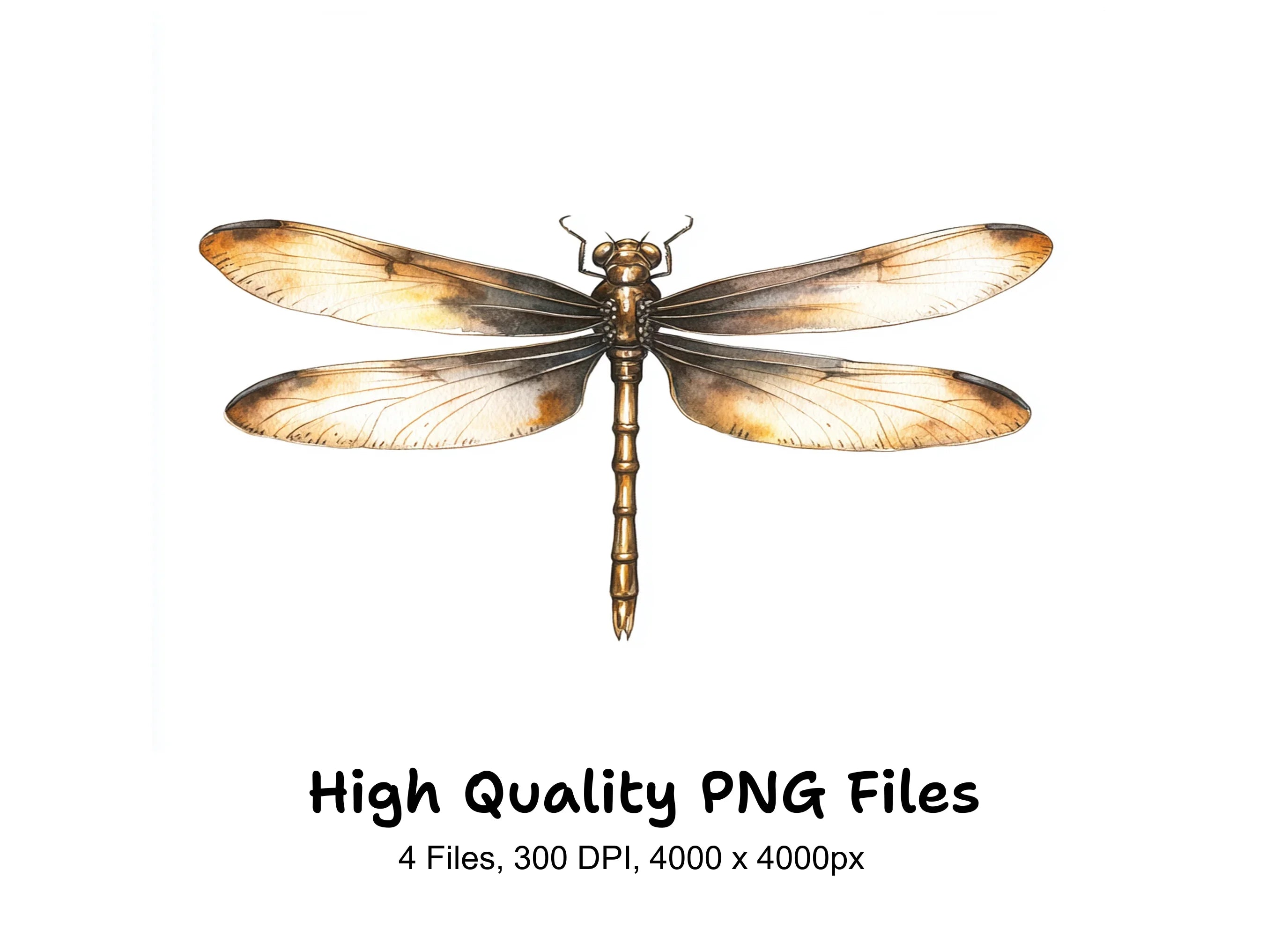 Elegant Dragonfly Clipart Bundle