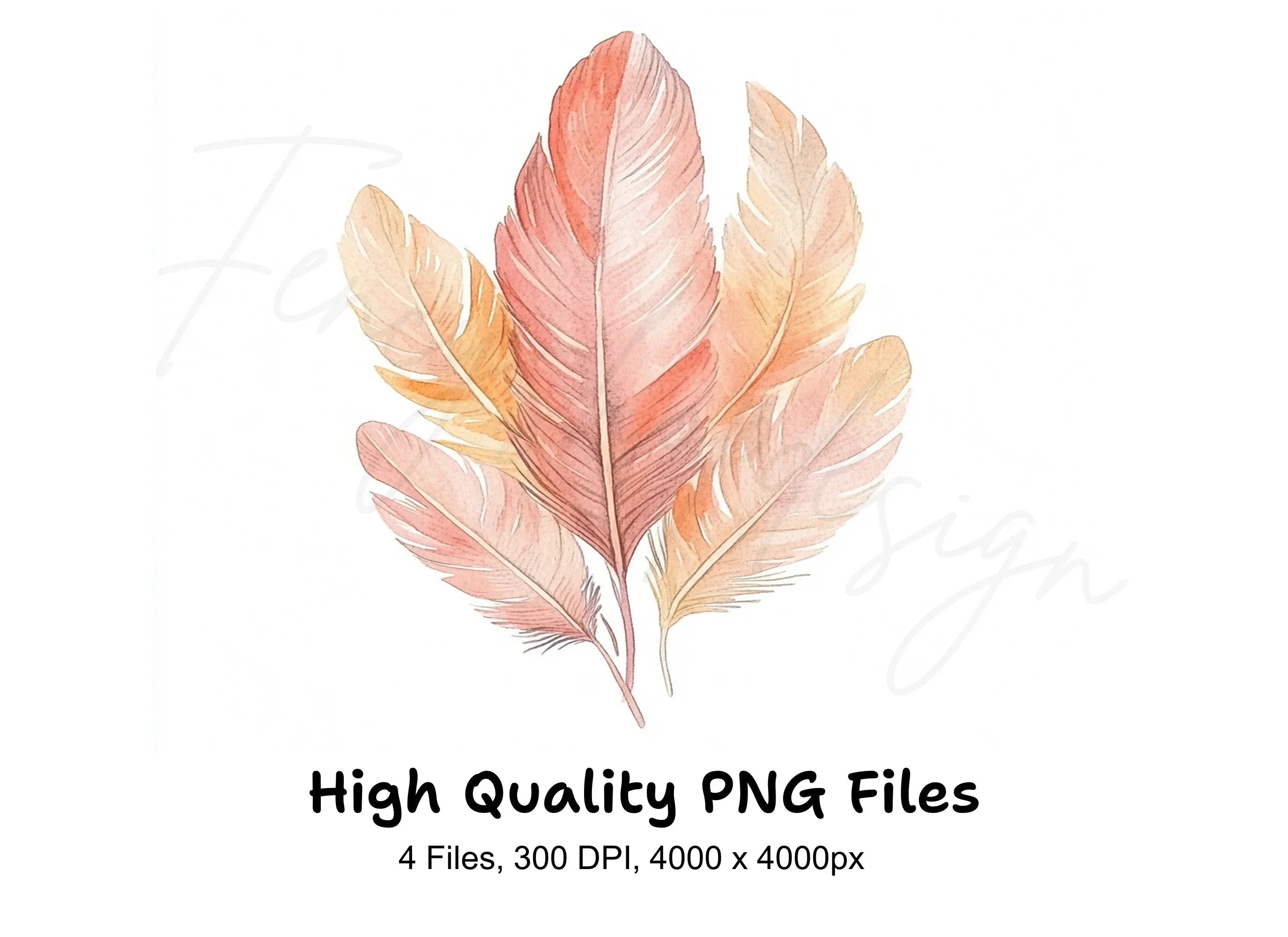 Boho Chic Feather Clipart Bundle