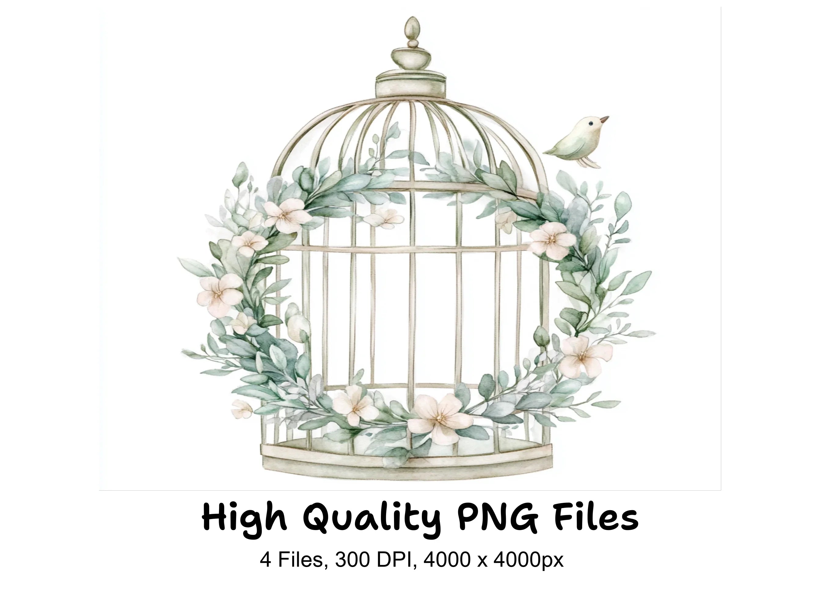 Elegant Birdcage with Greenery Clipart Bundle