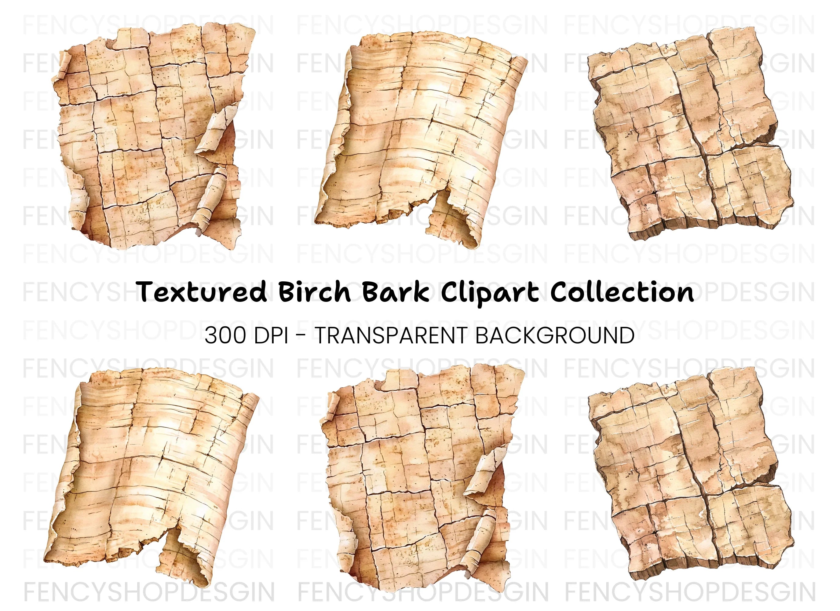 Birch Bark Clipart Bundle
