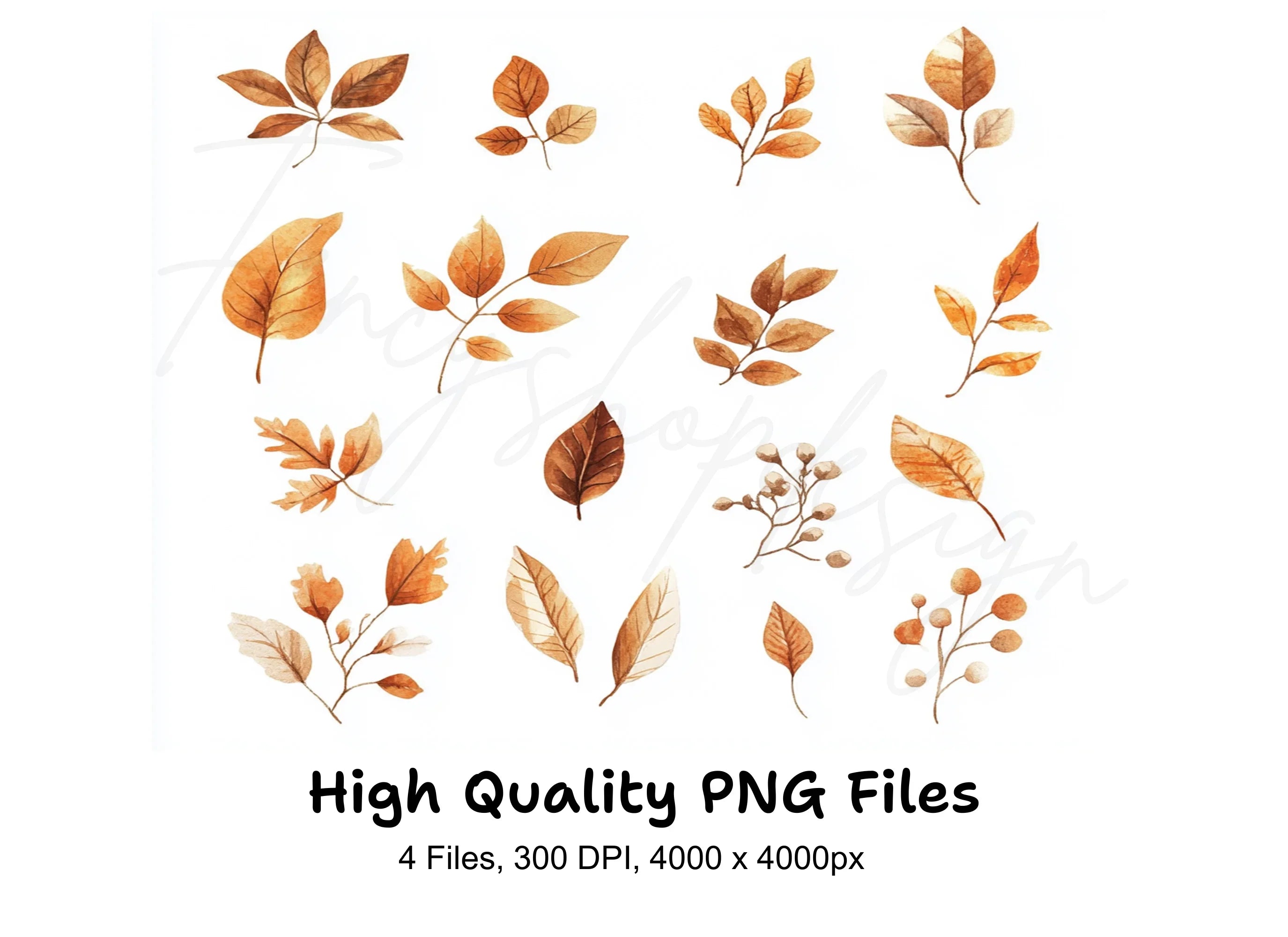 Autumn Leaves Clipart Bundle