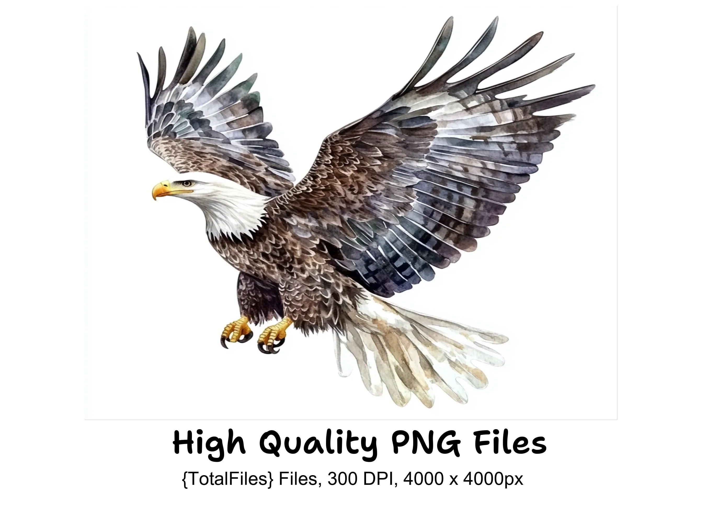 Majestic Bald Eagle Clipart Bundle