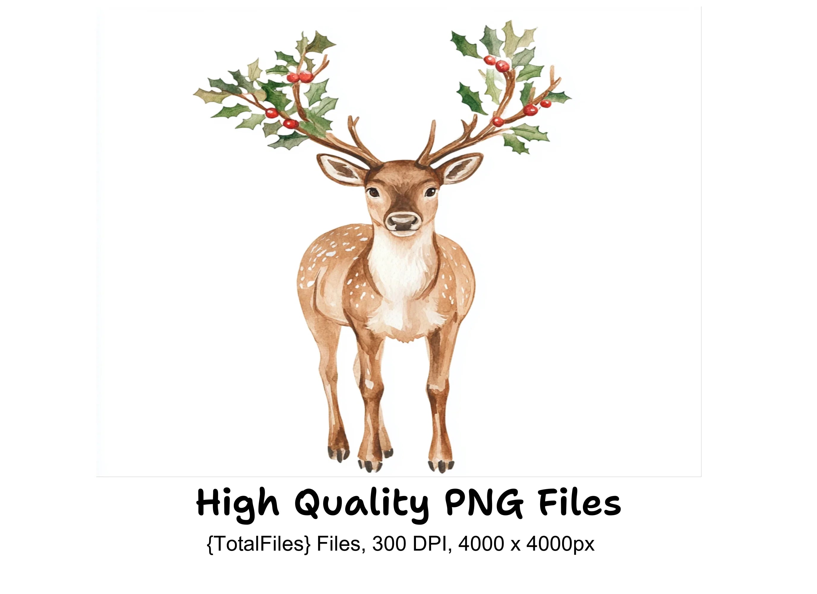 Christmas Holly Deer Clipart Bundle