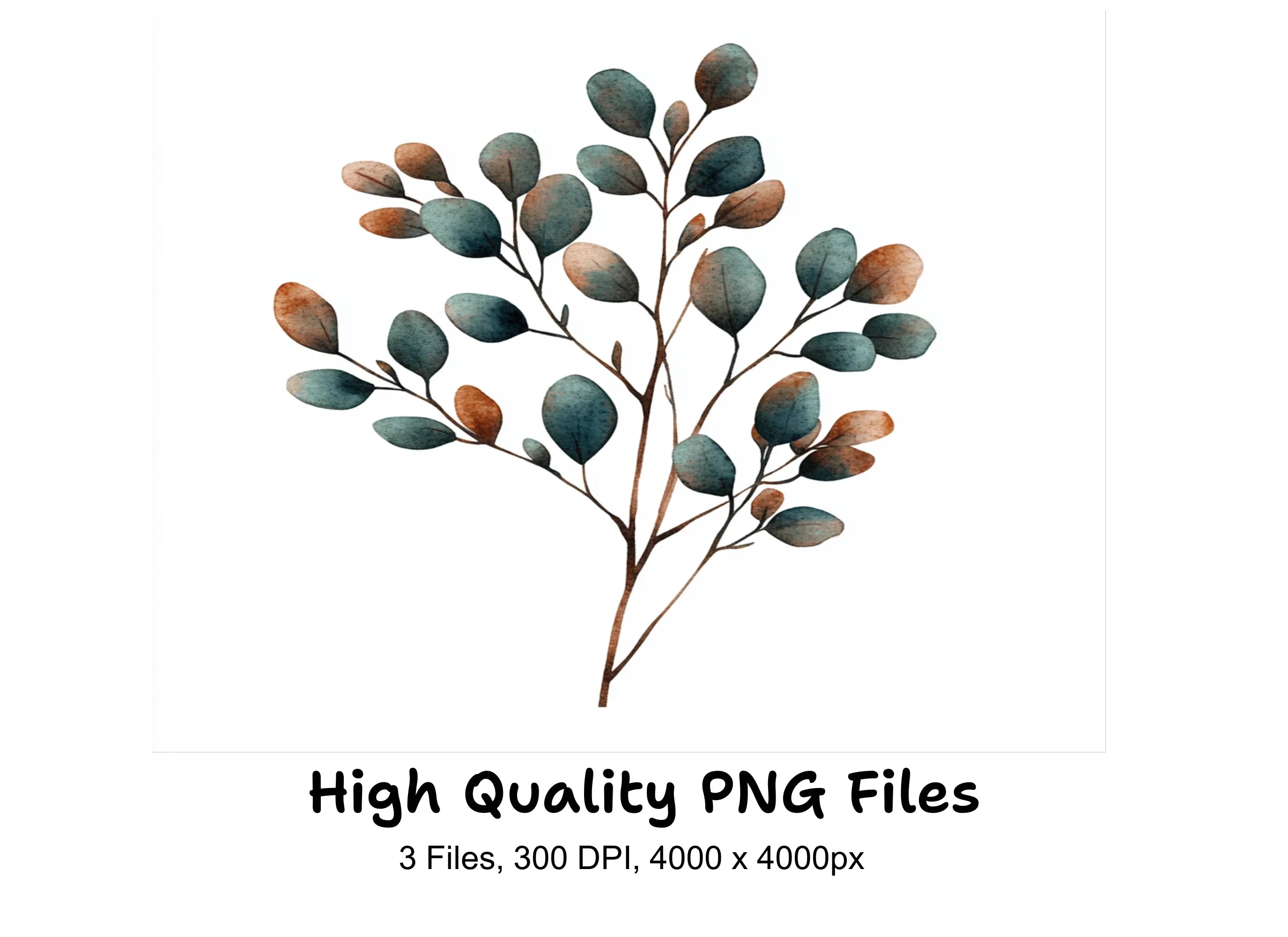 Botanical Clipart Bundle