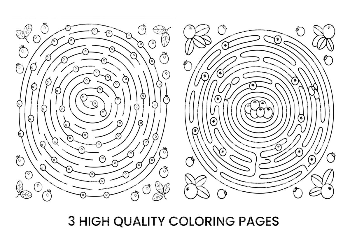 Blueberry Maze Adventure Coloring Books