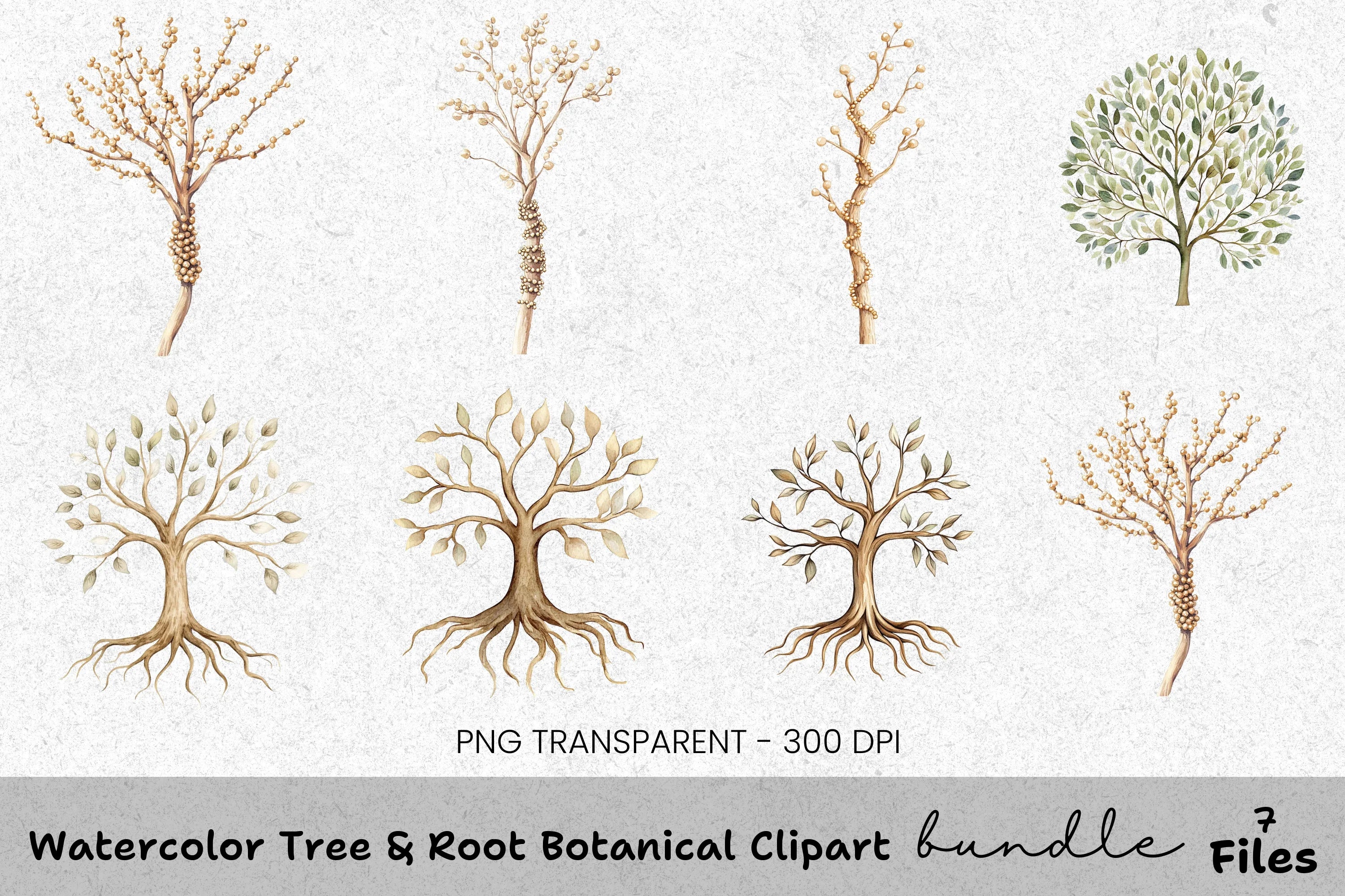 Tree Root Botanical Clipart Bundle