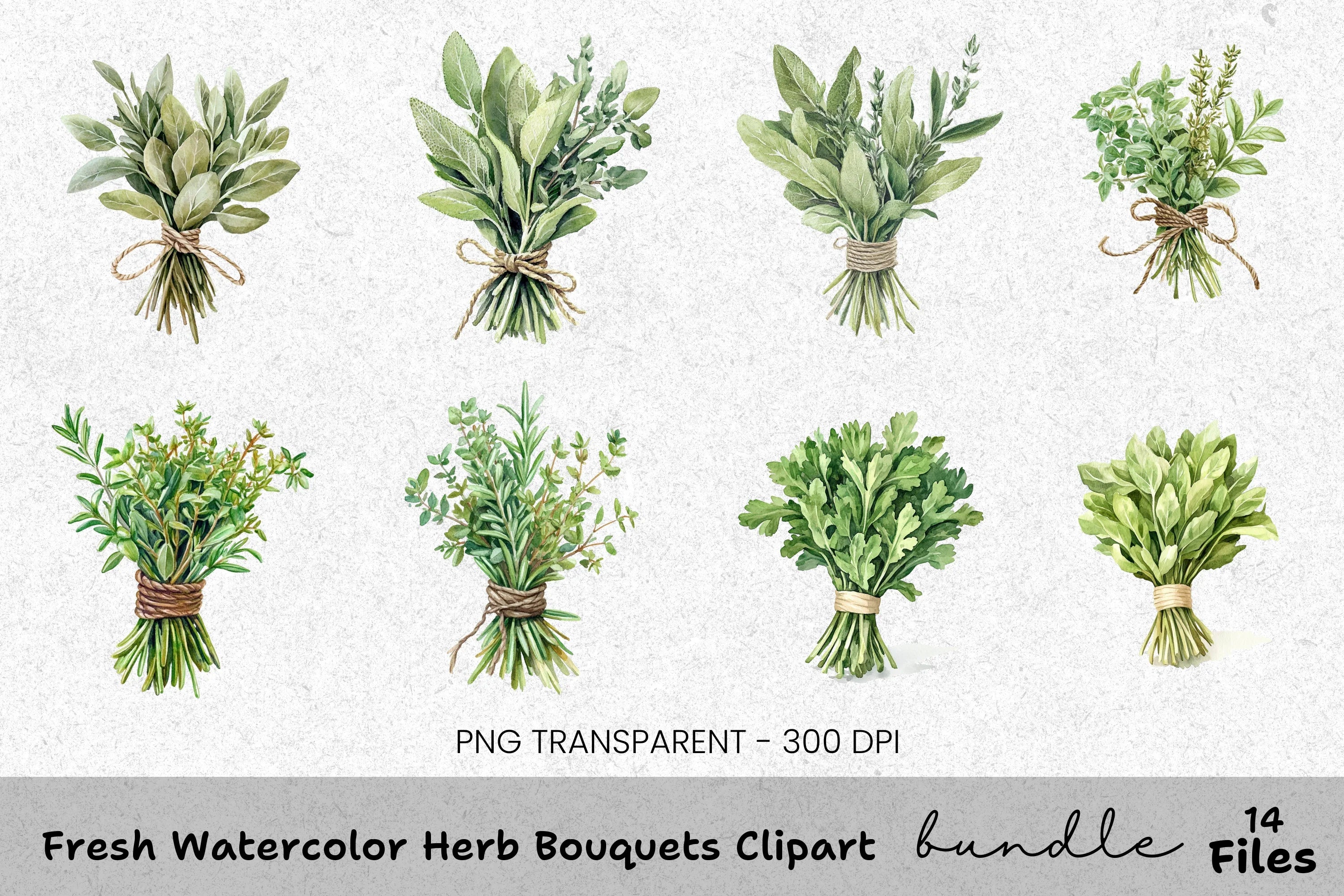 Fresh Herb Bouquets Clipart Bundle