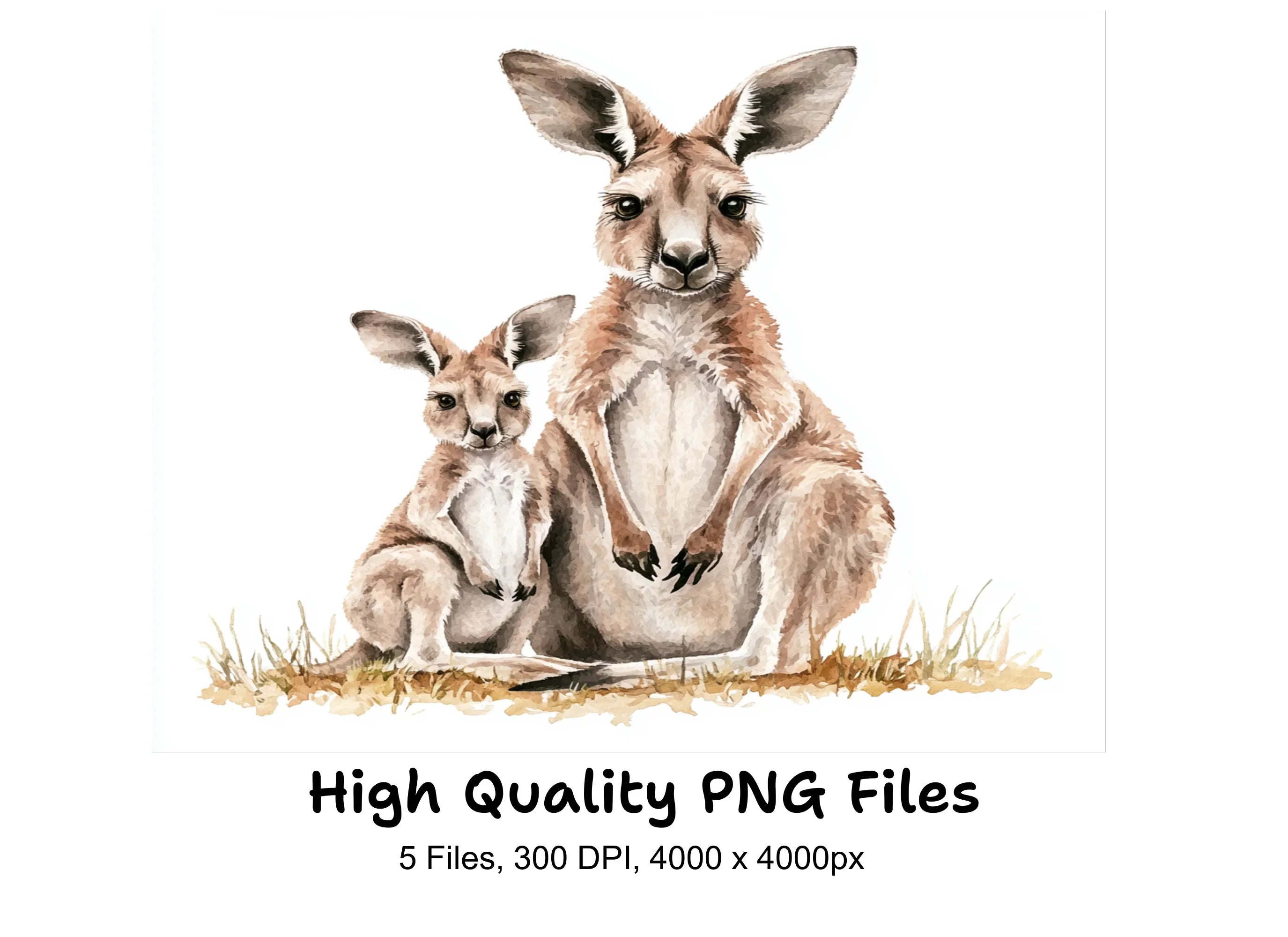 Kangaroo and Joey Clipart Bundle
