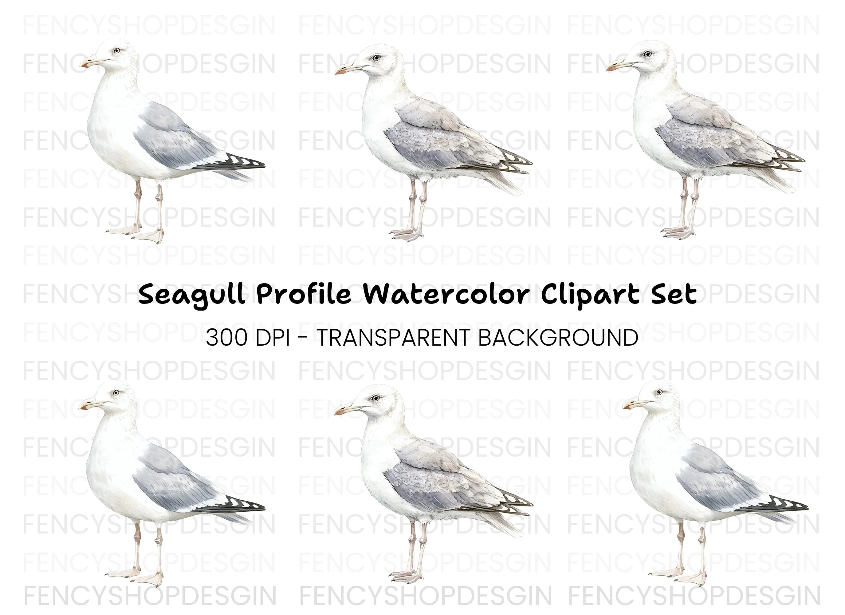 Seagull Side View Clipart Bundle