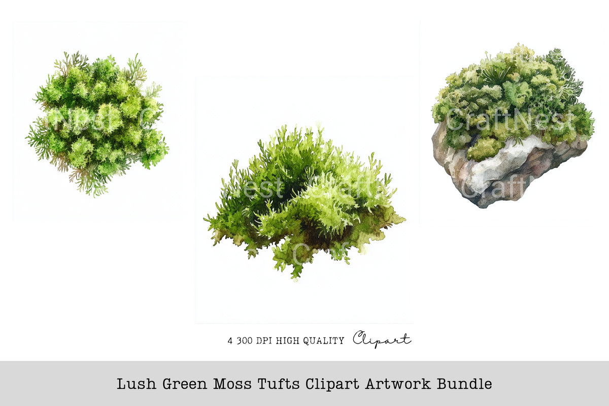 Lush Green Moss Tufts Artwork Clipart Bundle