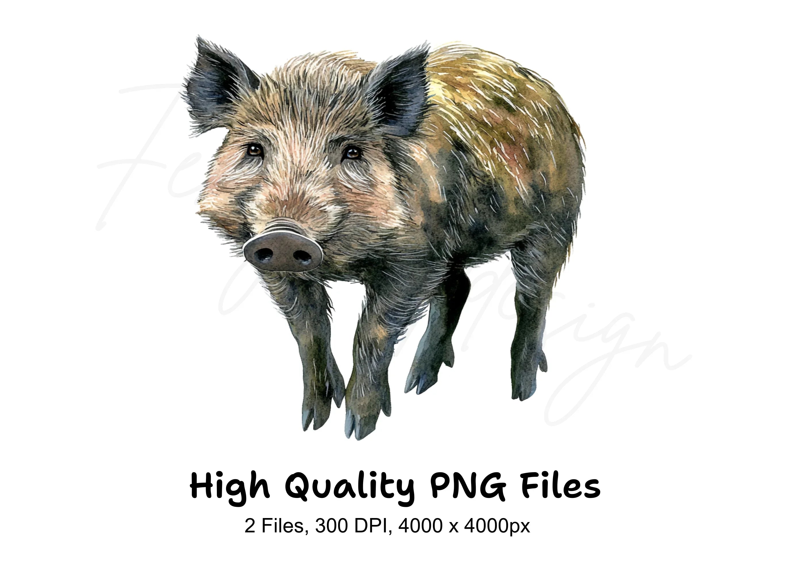 Wild Boar Clipart Bundle
