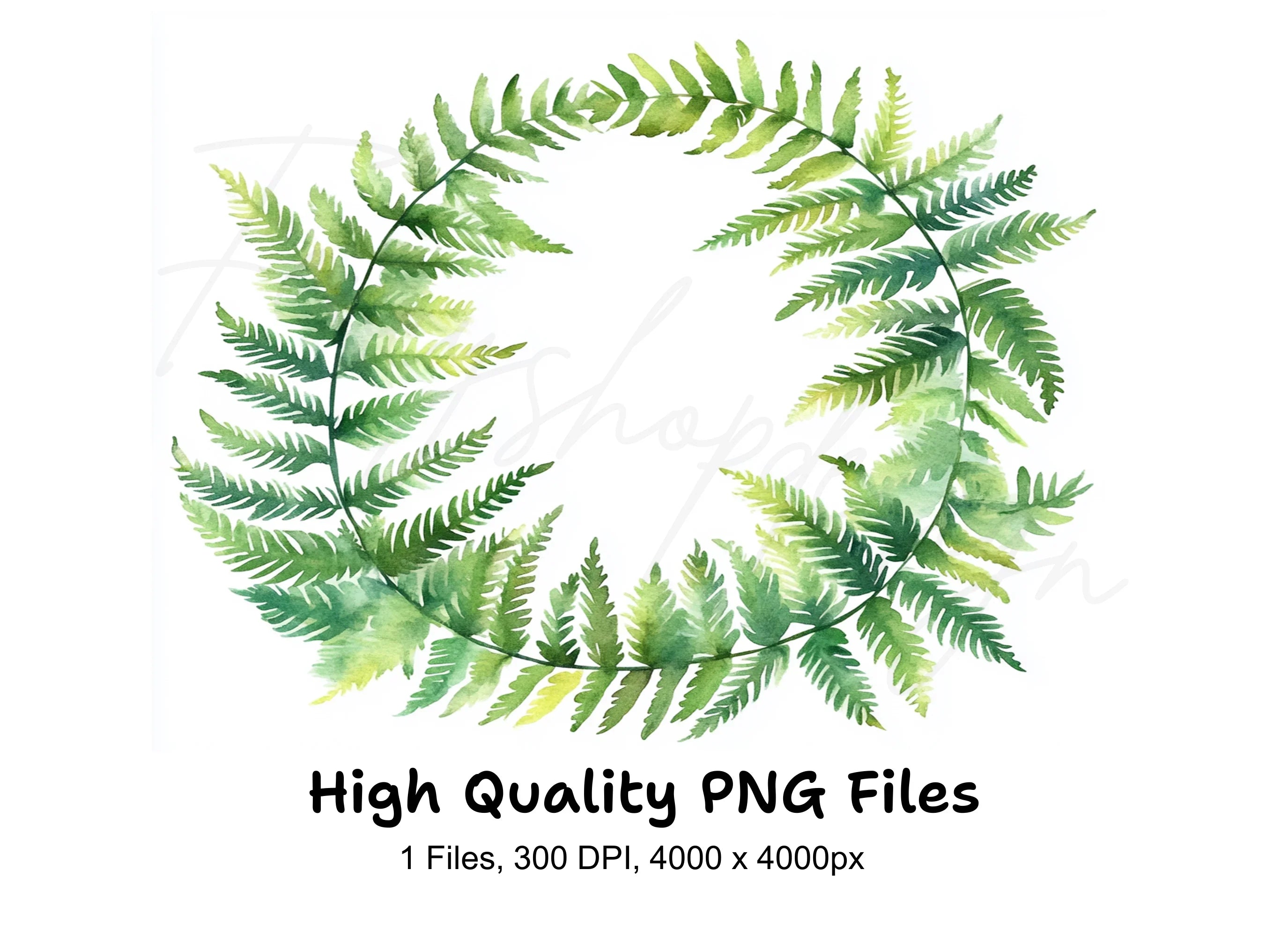 Fern Wreath Clipart Bundle
